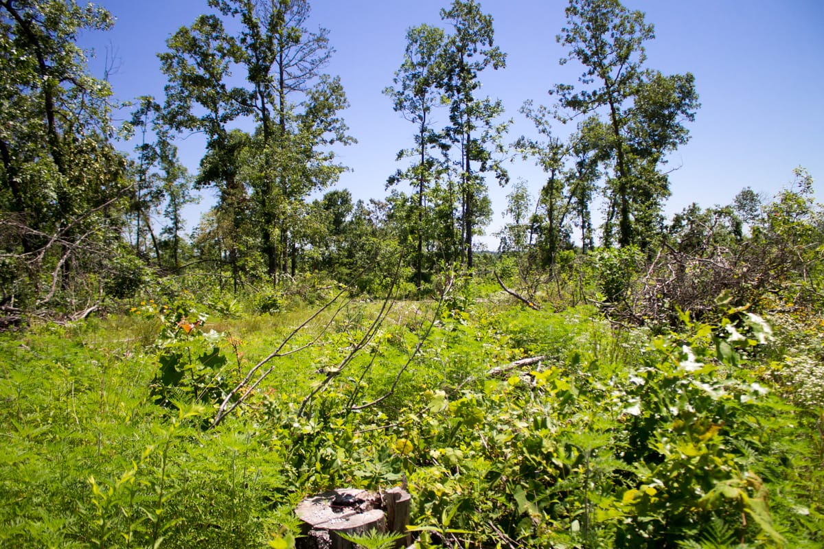 Timber Crossing Tract 21 photo 16
