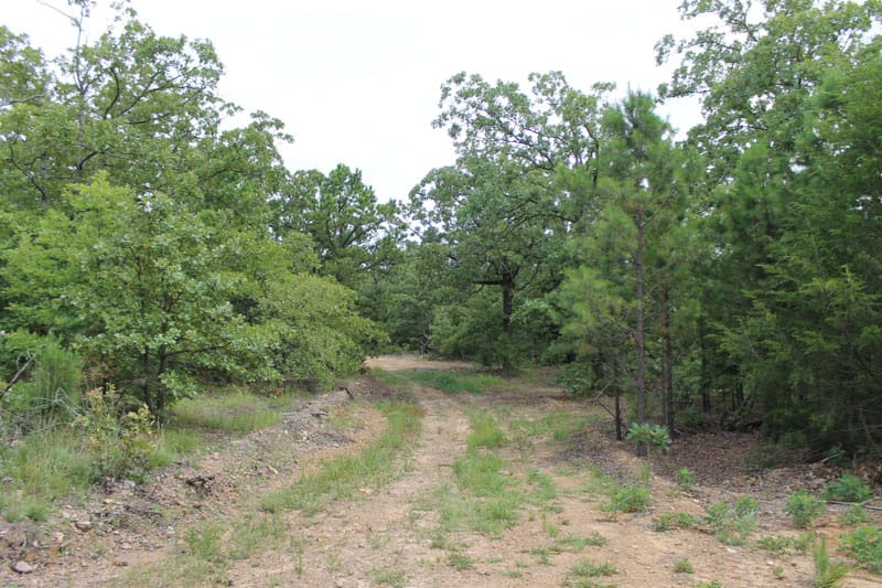 Trophy Ridge Phase III Tract 34 photo 1