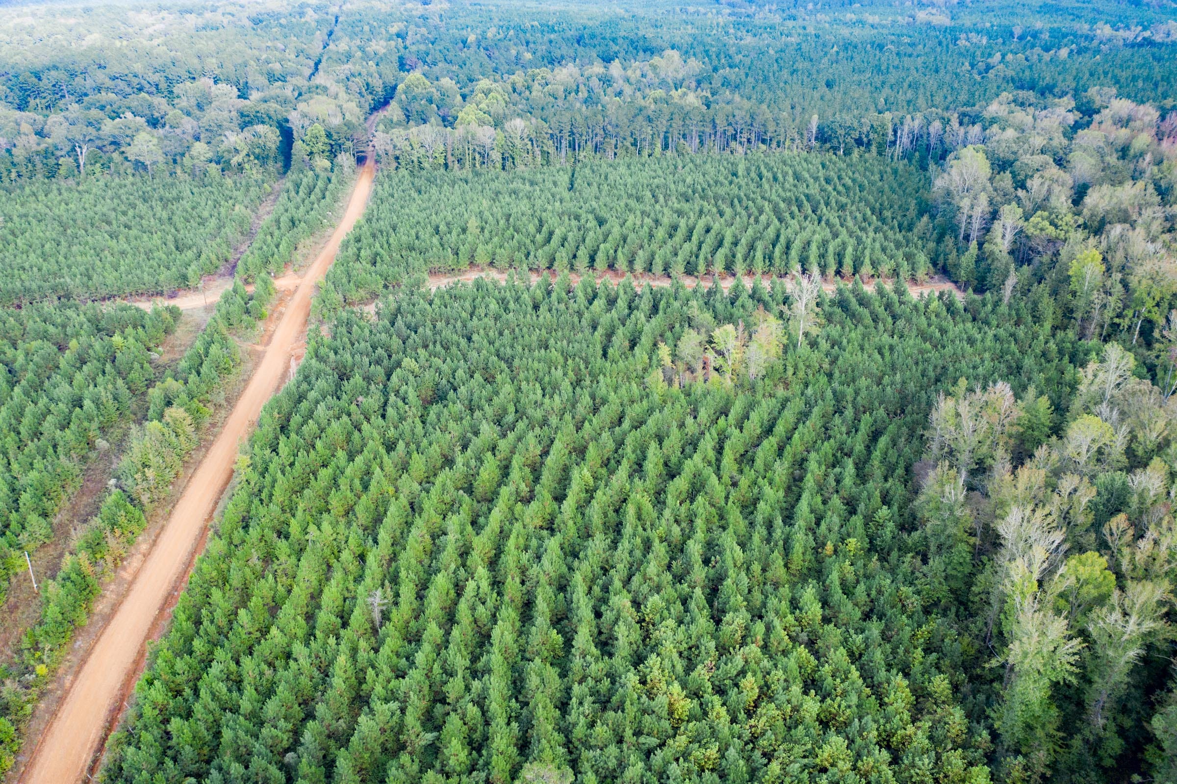 Sky Ranch Tract 3 photo 5