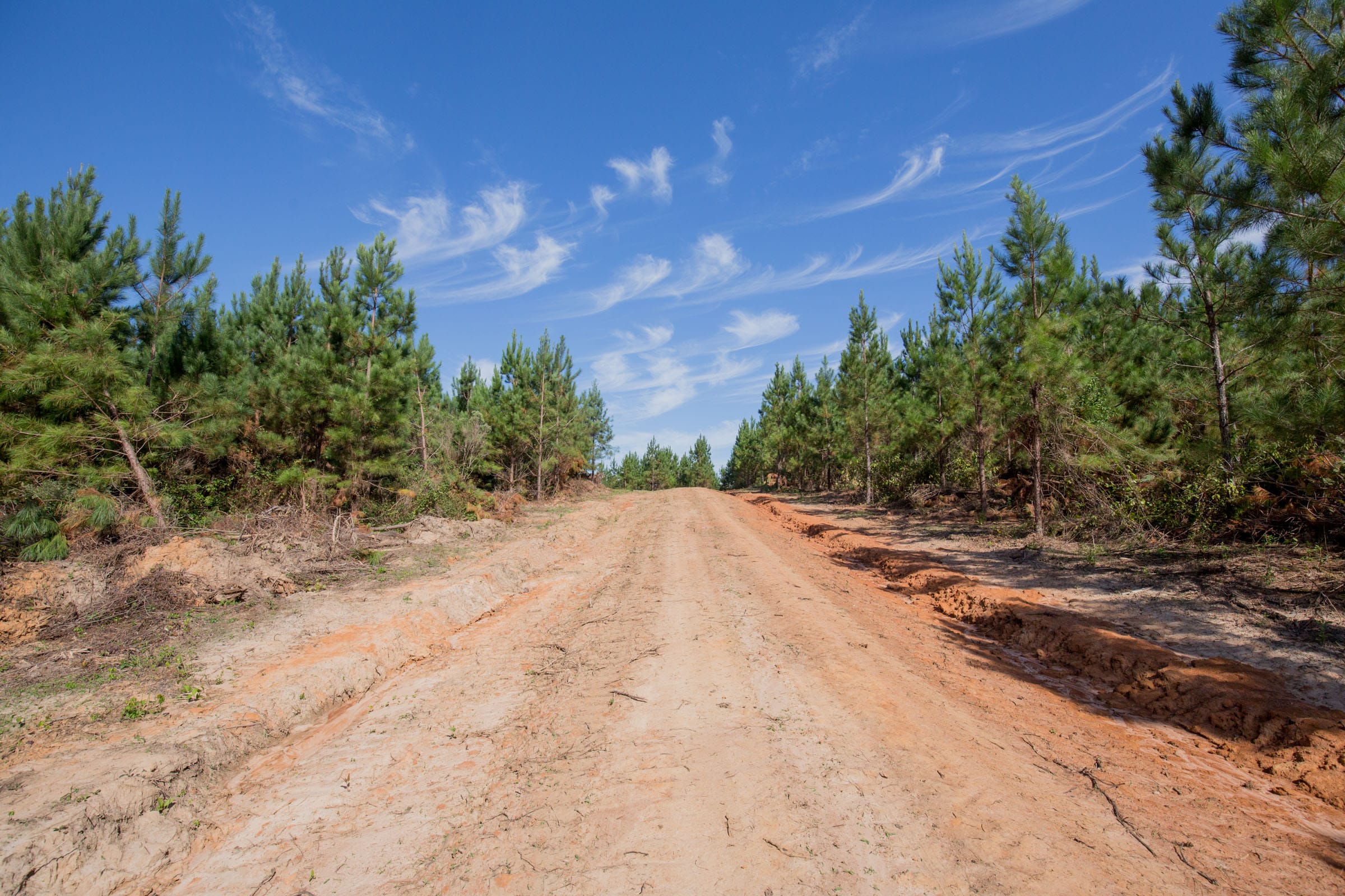 Sky Ranch Tract 3 photo 16