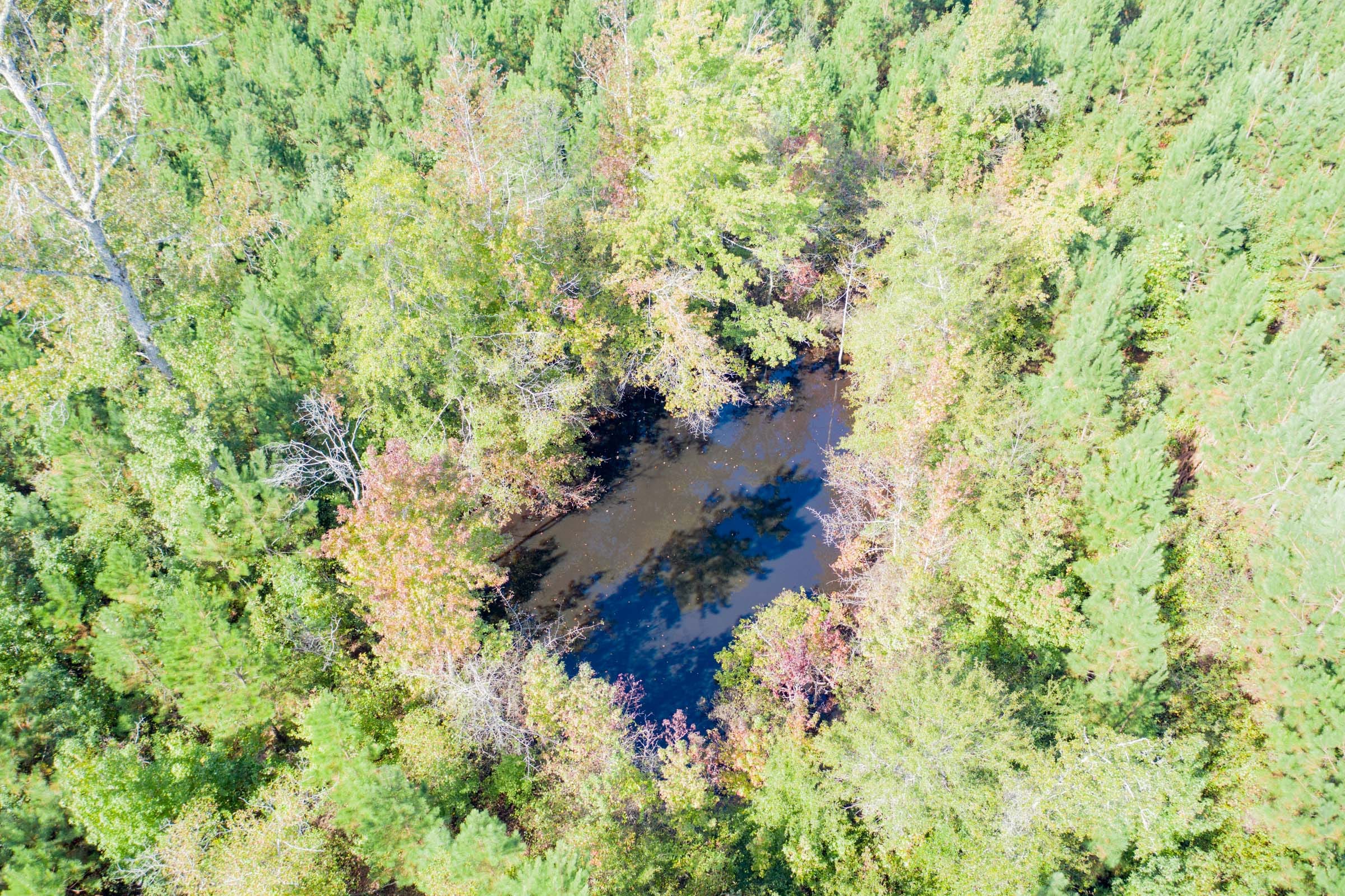 Sky Ranch Tract 3 photo 2