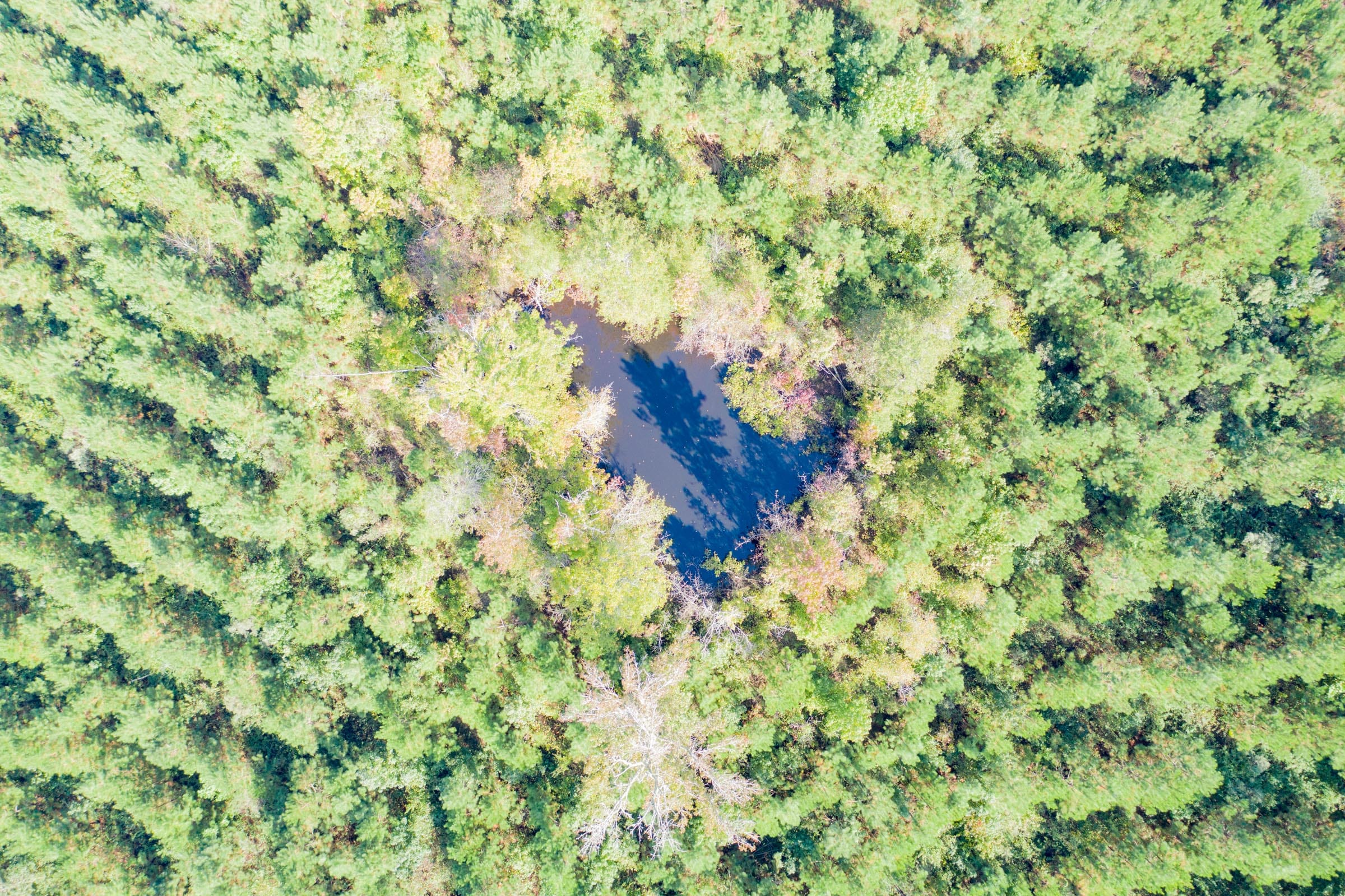 Sky Ranch Tract 3 photo 3
