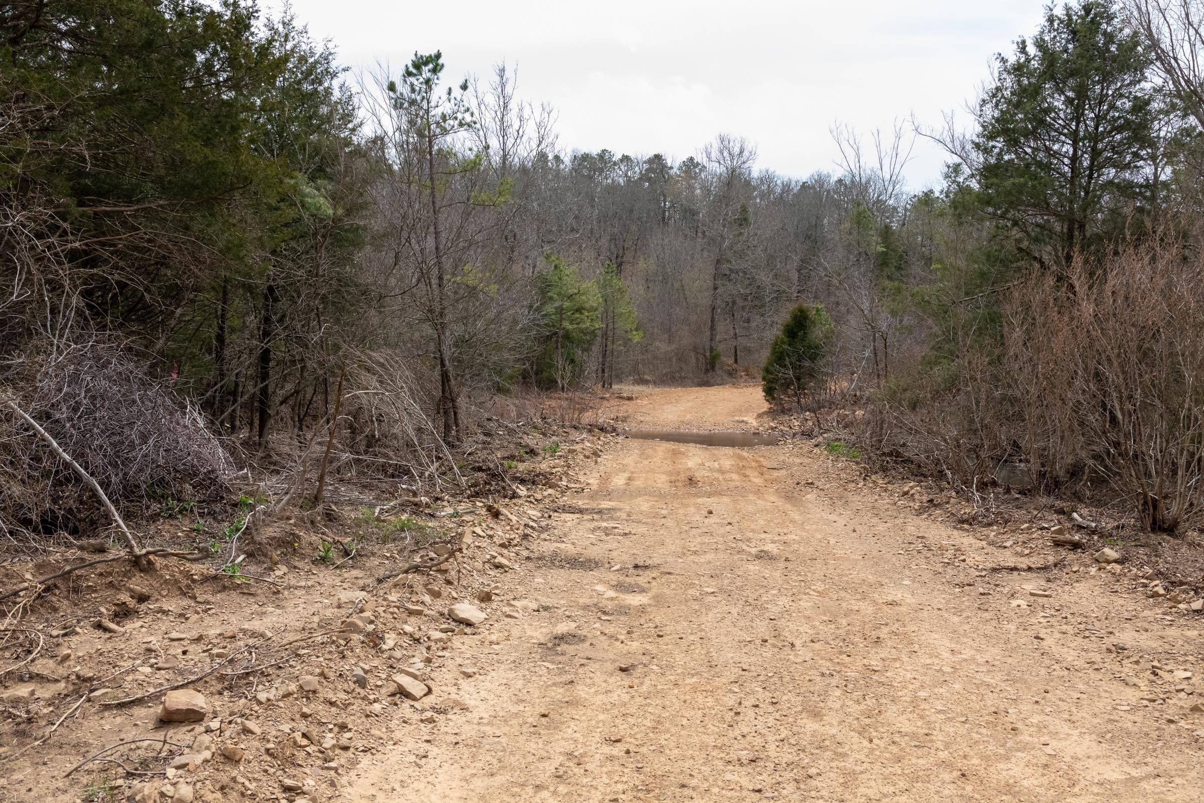 Stone Bridge Phase III Tract 144 photo 5