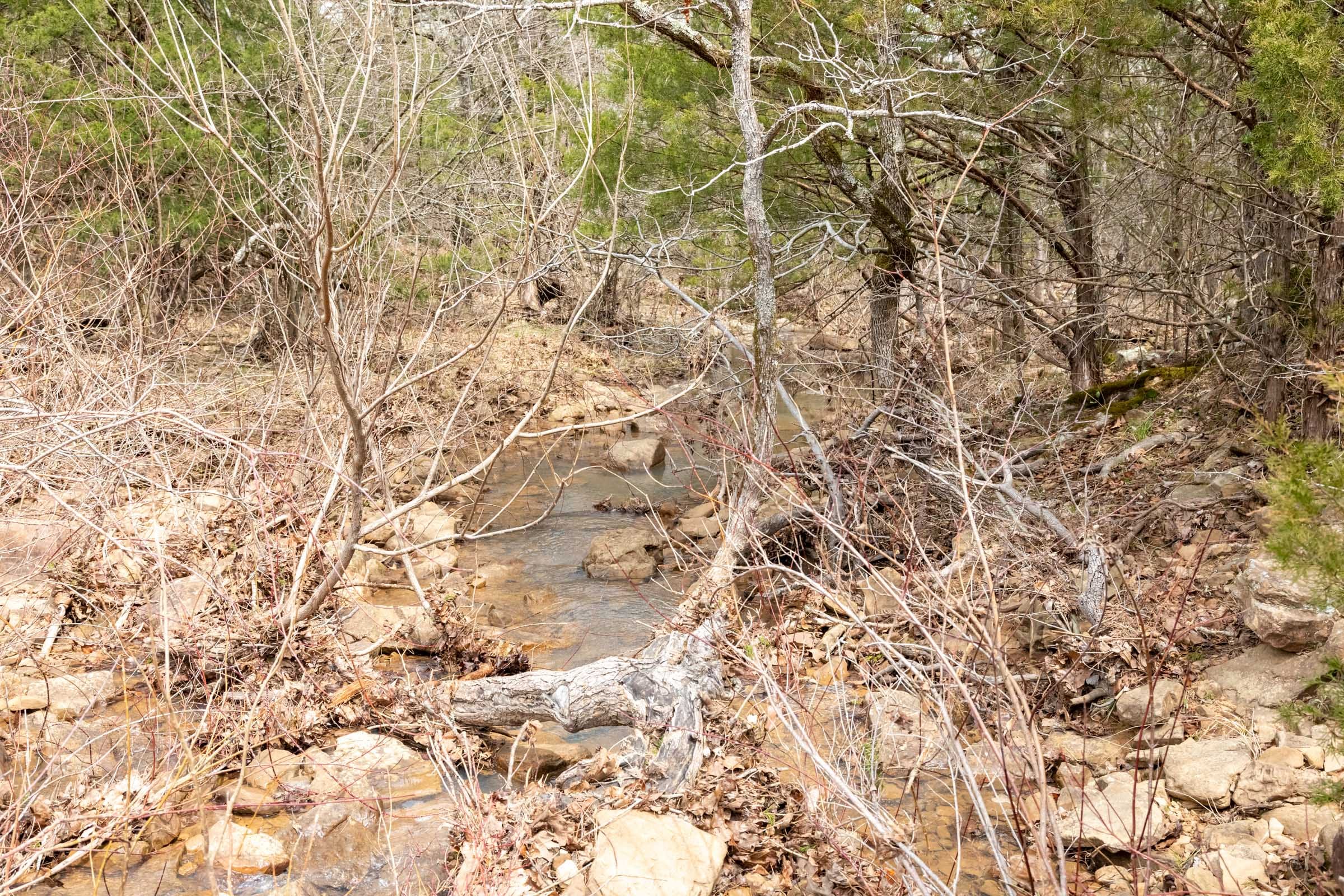 Stone Bridge Phase III Tract 144 photo 4