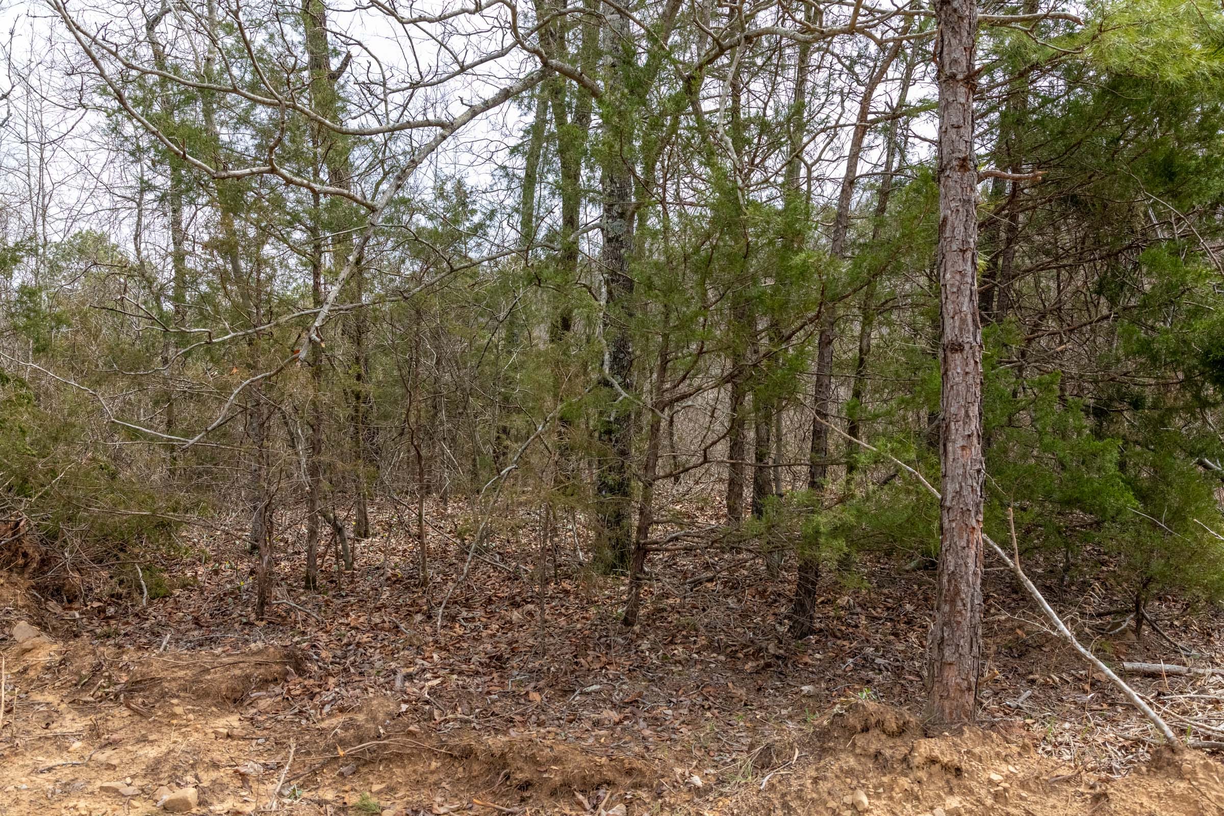 Stone Bridge Phase III Tract 144 photo 6