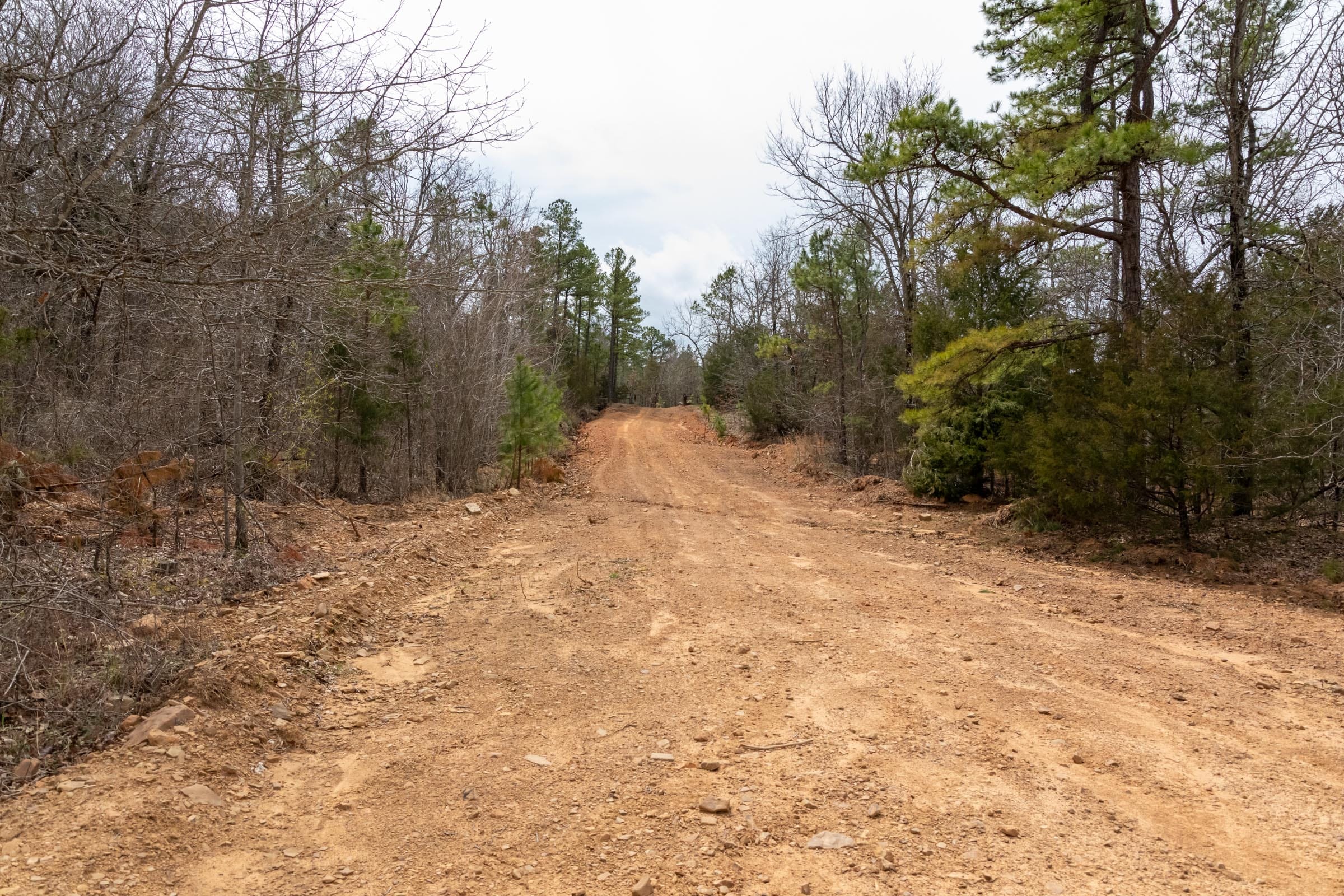 Stone Bridge Phase III Tract 144 photo 7
