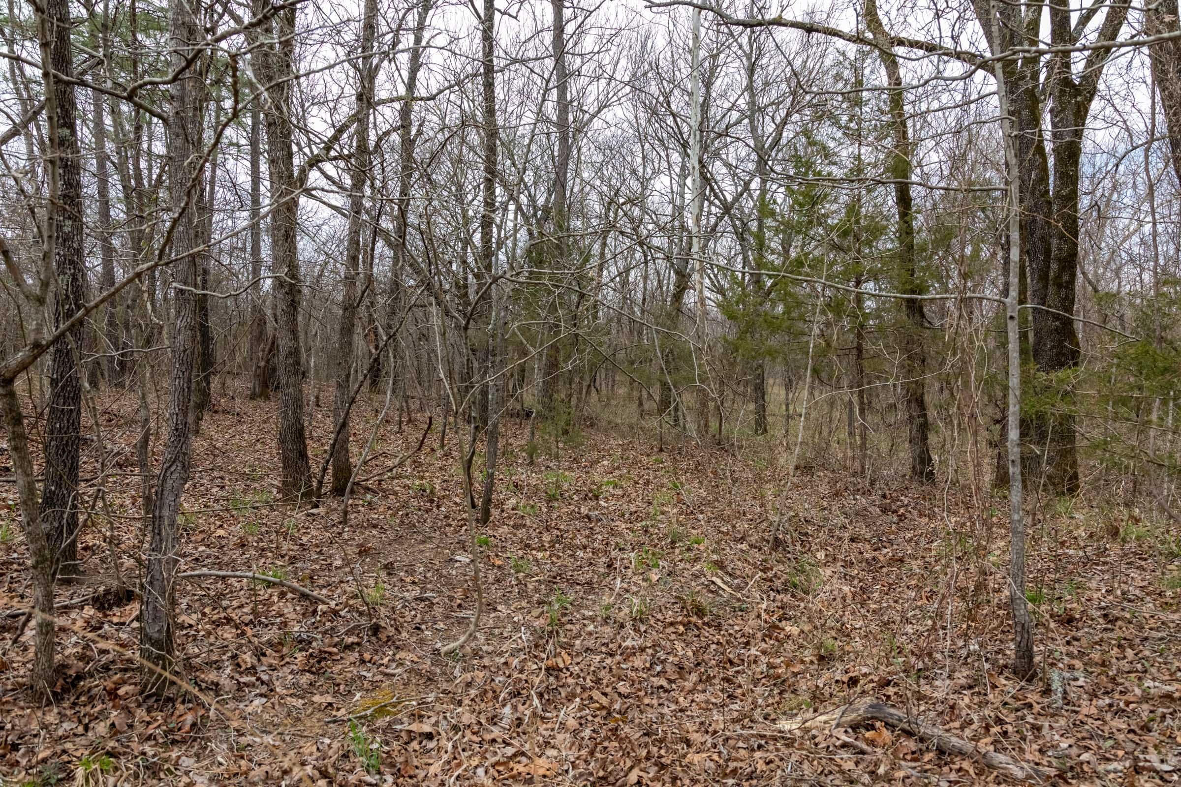 Stone Bridge Phase III Tract 144 photo 12
