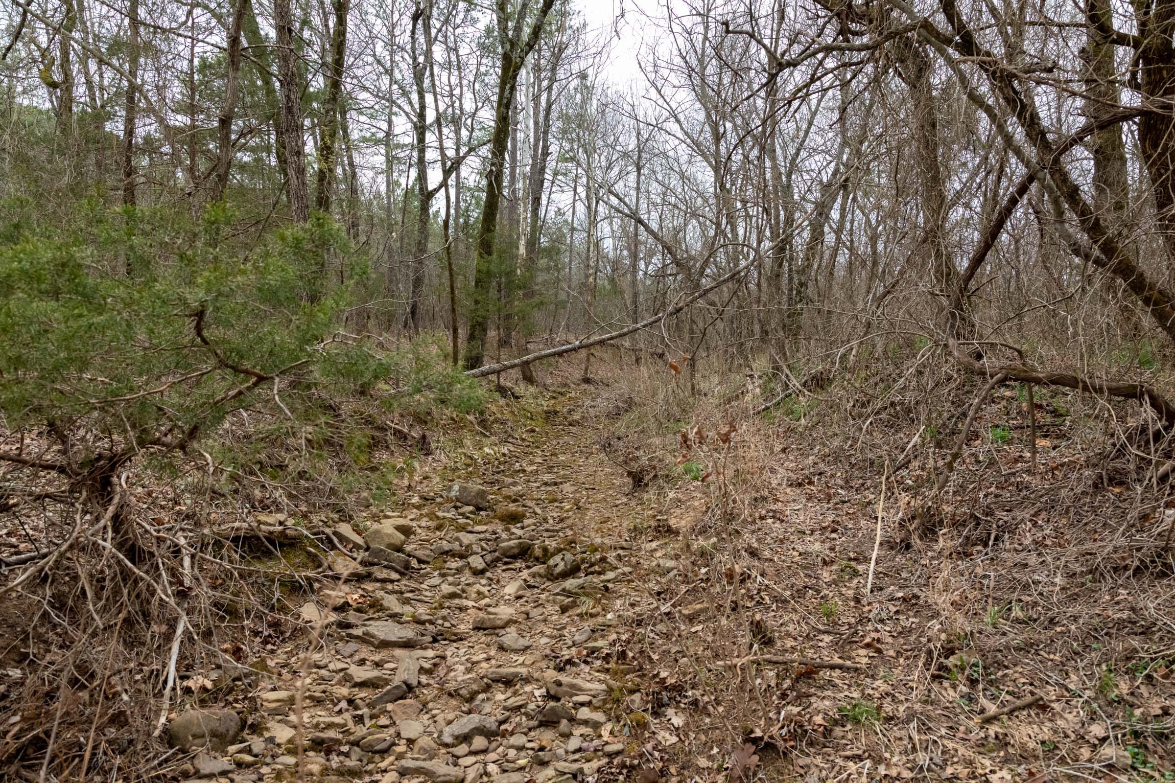 Stone Bridge Phase III Tract 144 photo 14