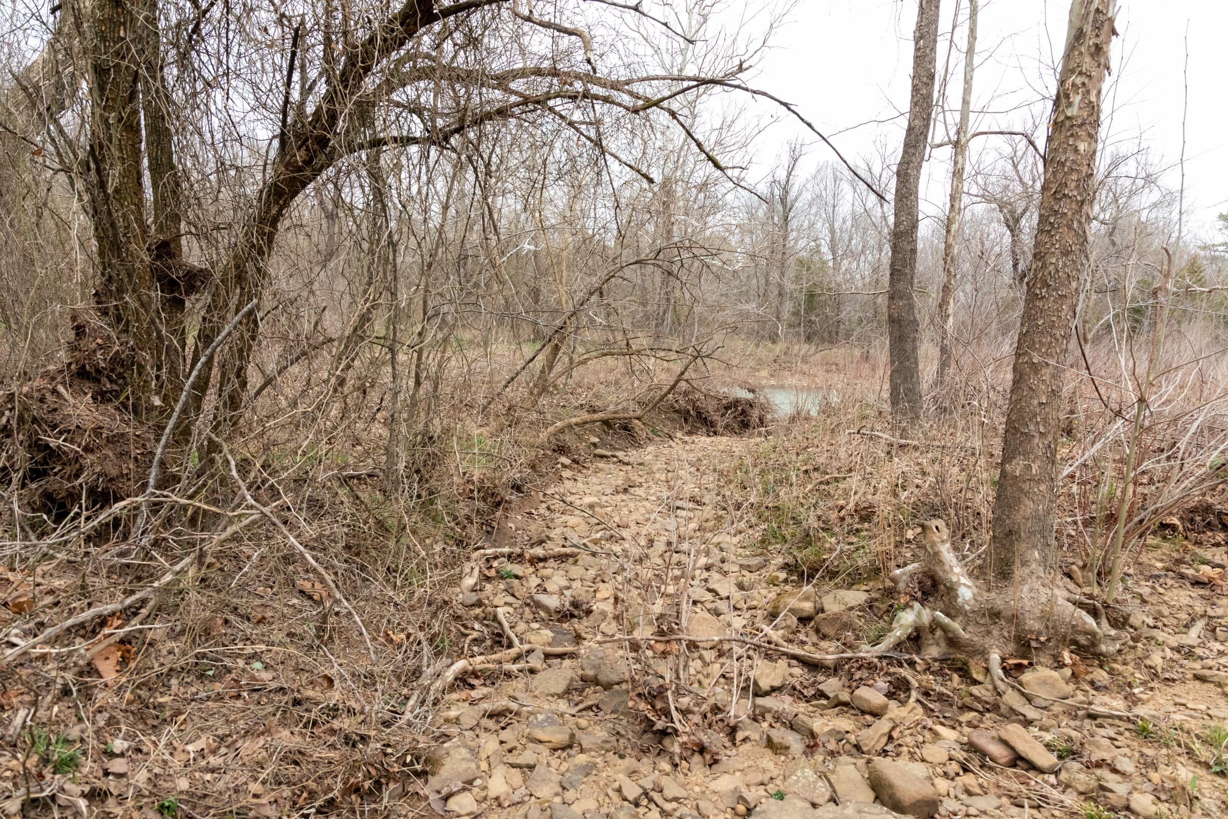 Stone Bridge Phase III Tract 144 photo 15