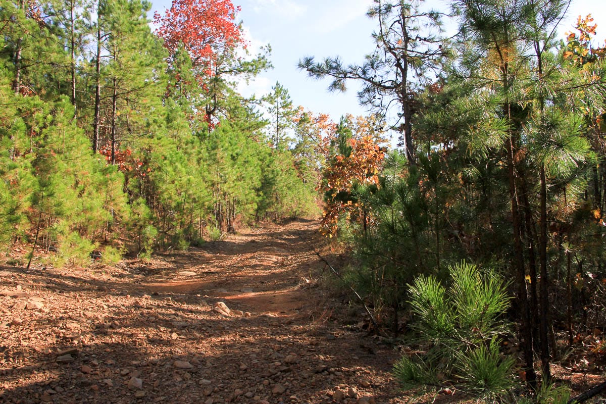 Stone Creek Phase III Tract 10 photo 3