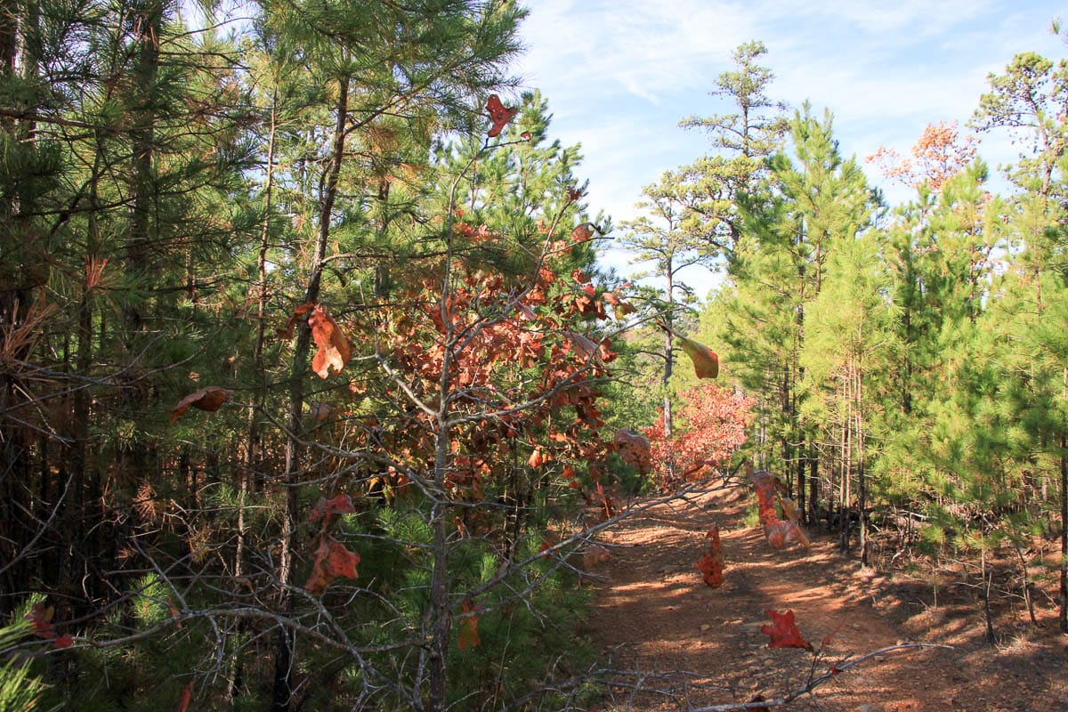 Stone Creek Phase III Tract 10 photo 4