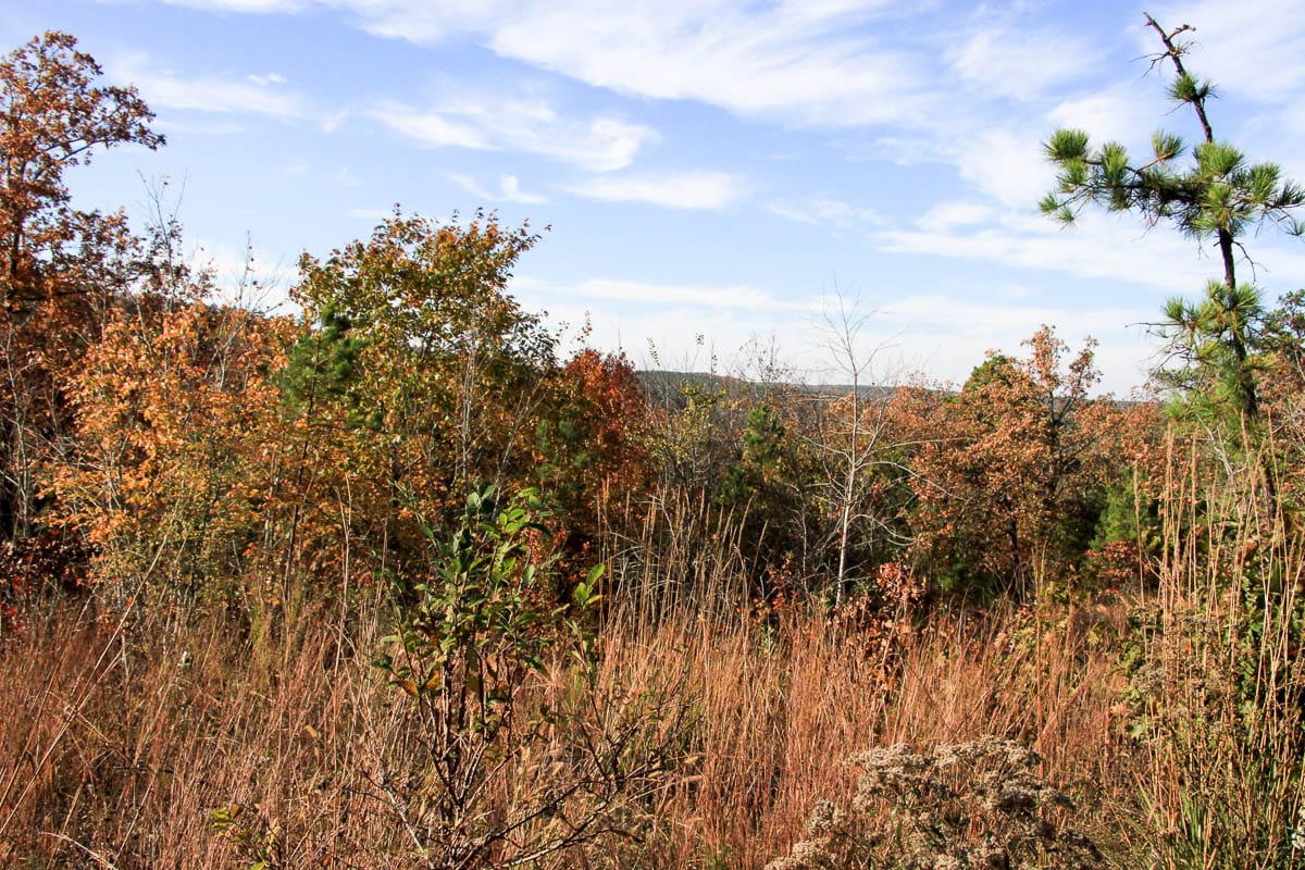 Stone Creek Phase III Tract 10 photo 8