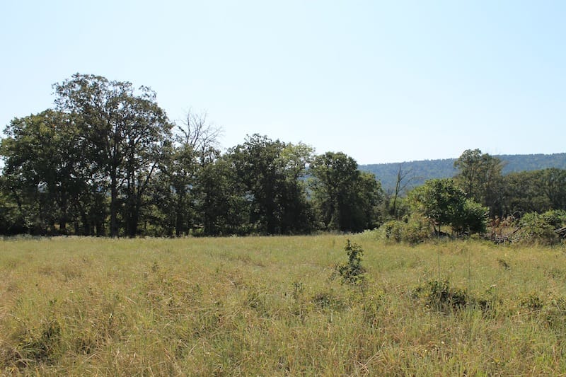 Daisy Meadows Tract 22 photo 2