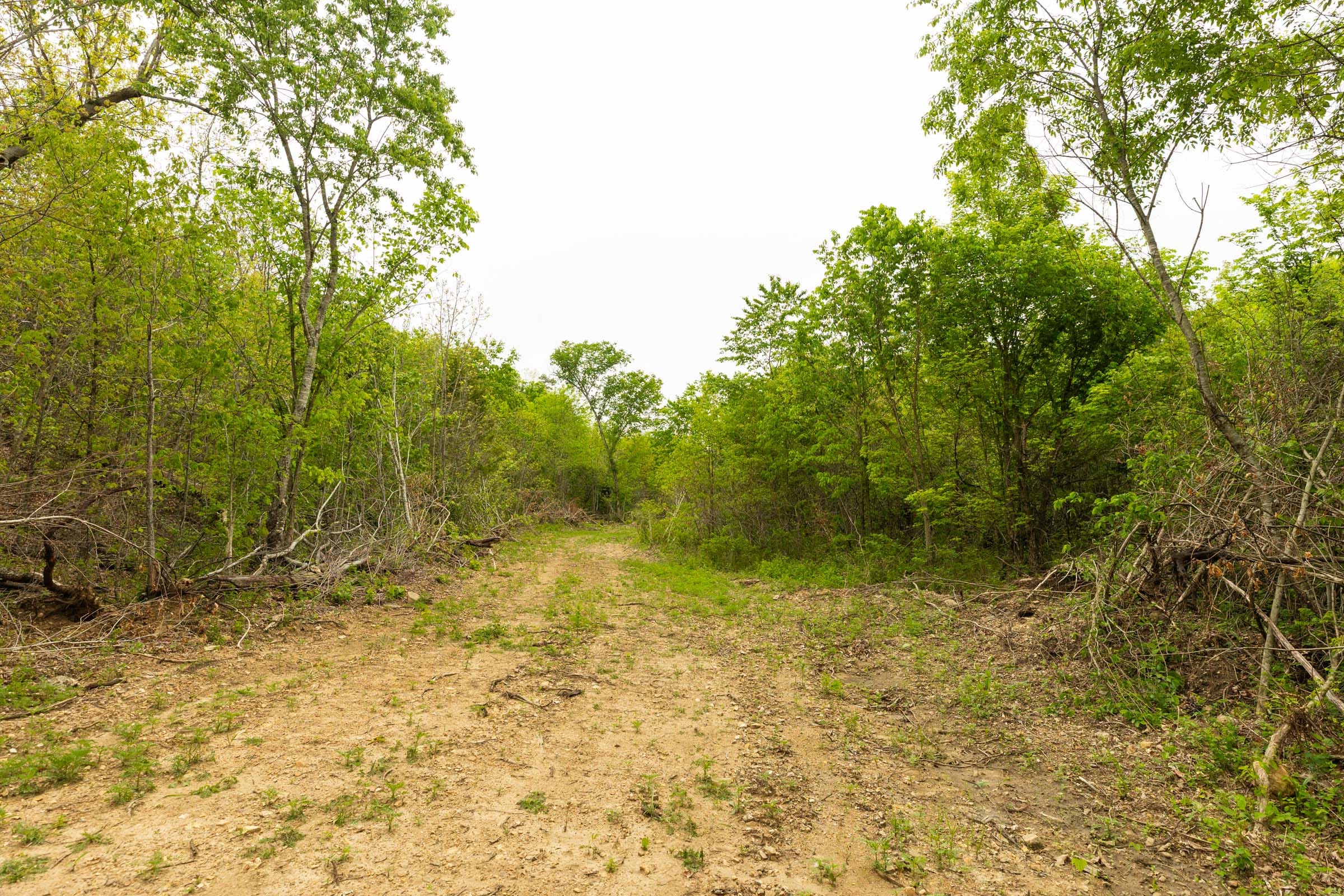 Double S Ranch Tract 4 photo 10