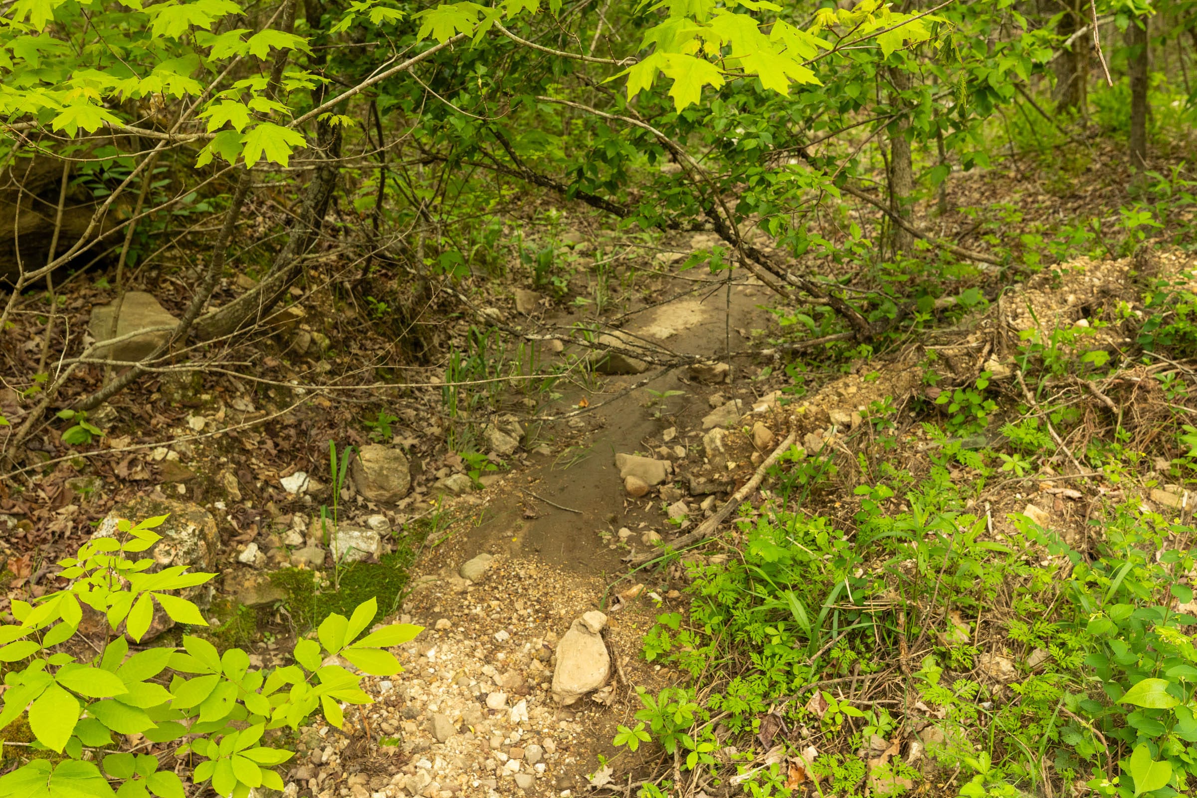 Double S Ranch Tract 1 photo 11