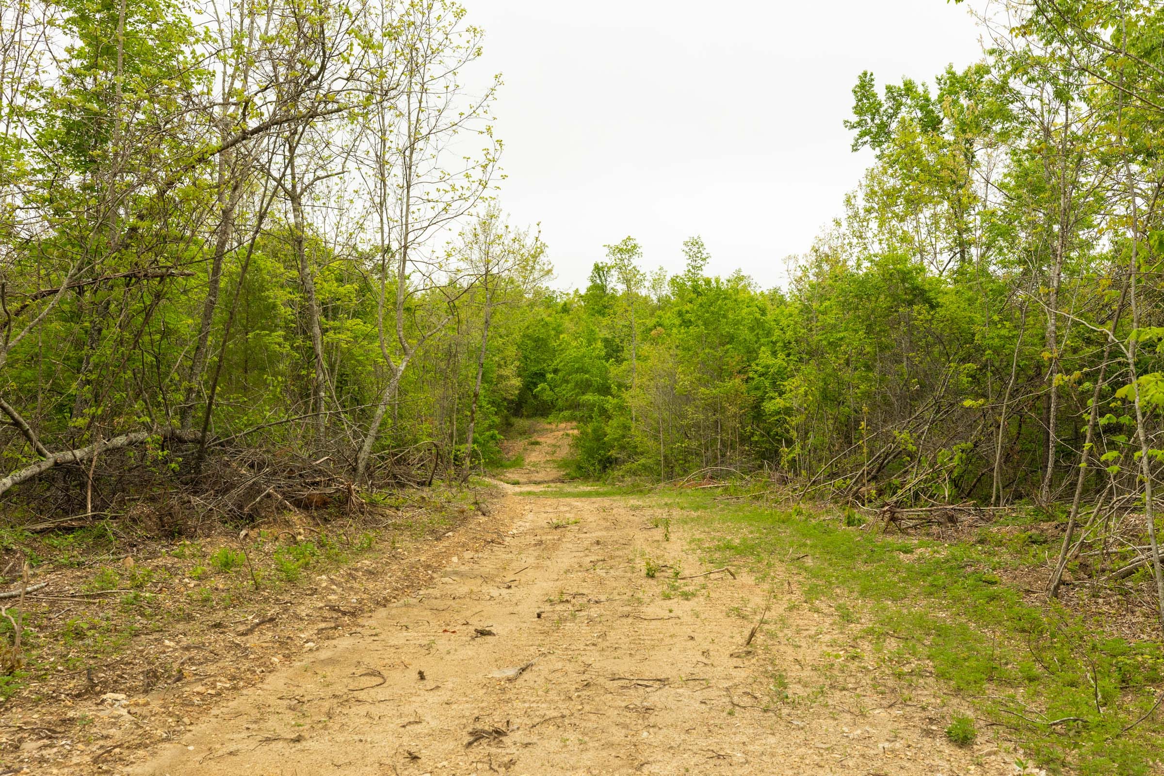 Double S Ranch Tract 4 photo 6