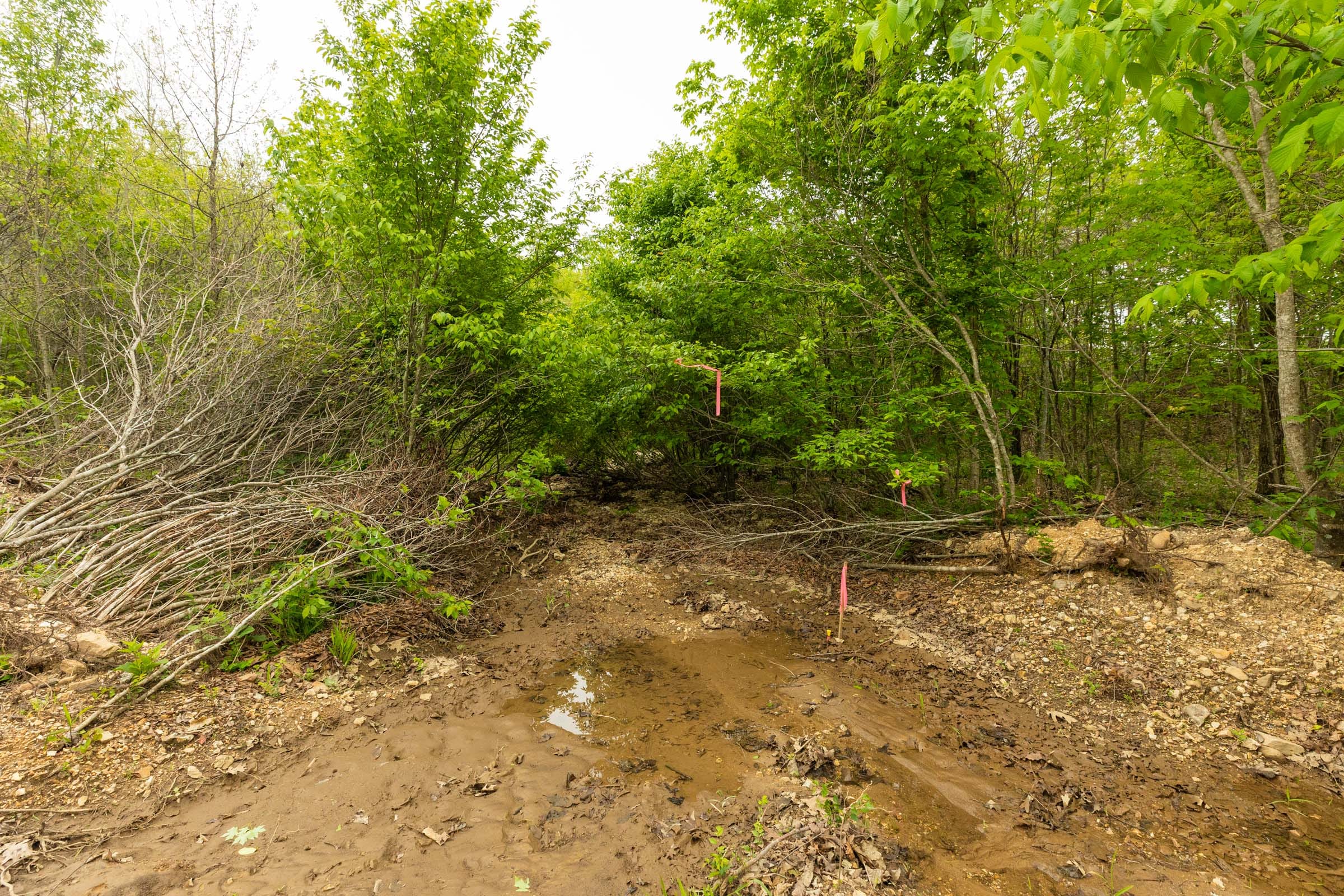 Double S Ranch Tract 4 photo 5
