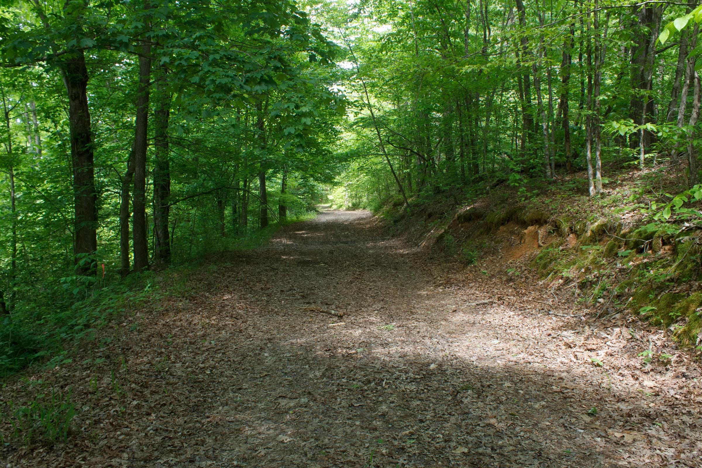 Riverbend Tract 4 photo 13