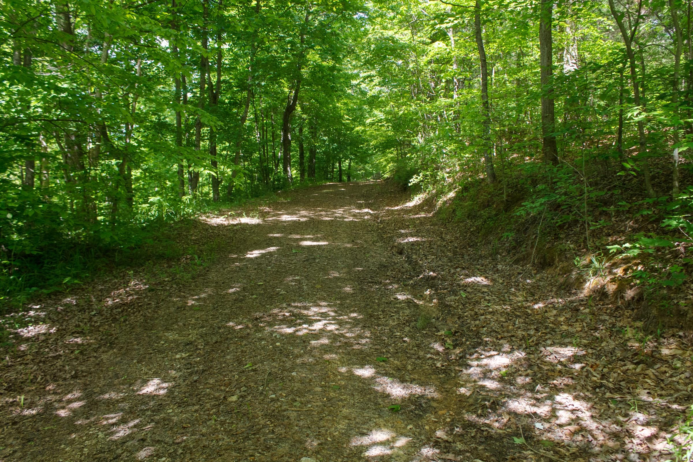 Riverbend Tract 4 photo 9