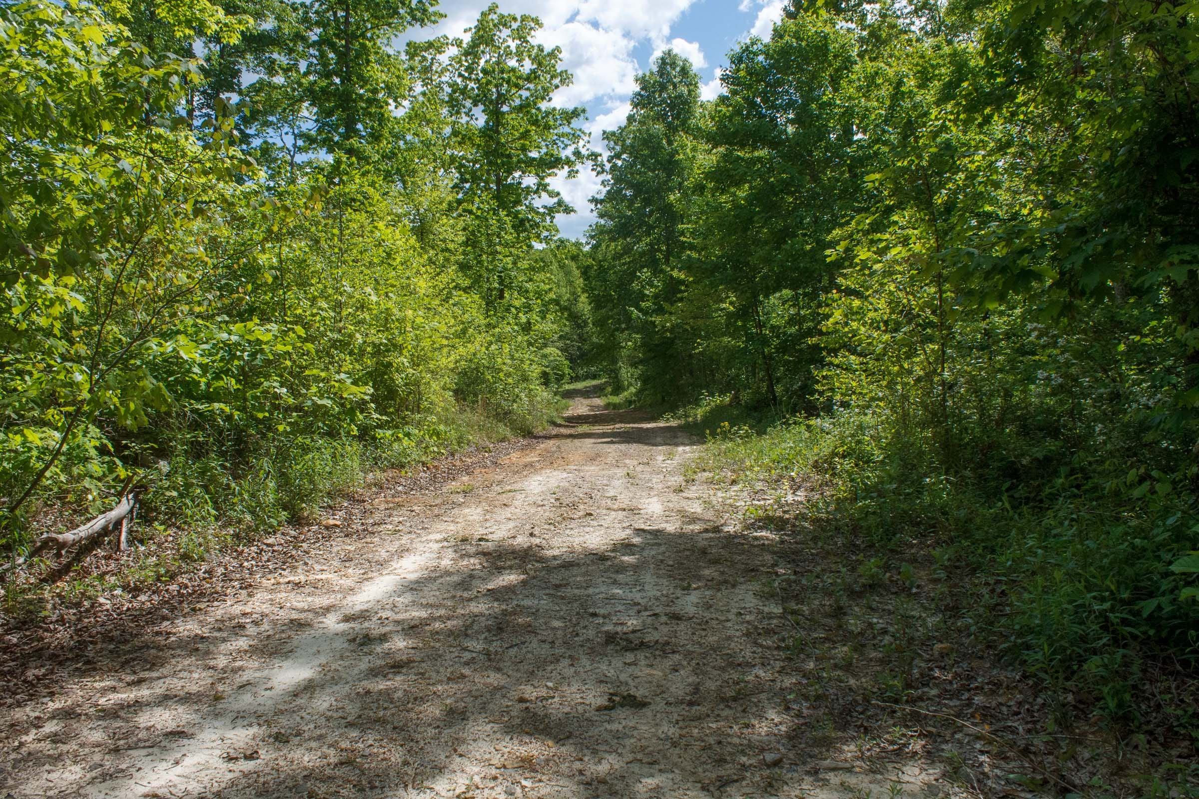 Riverbend Tract 4 photo 1