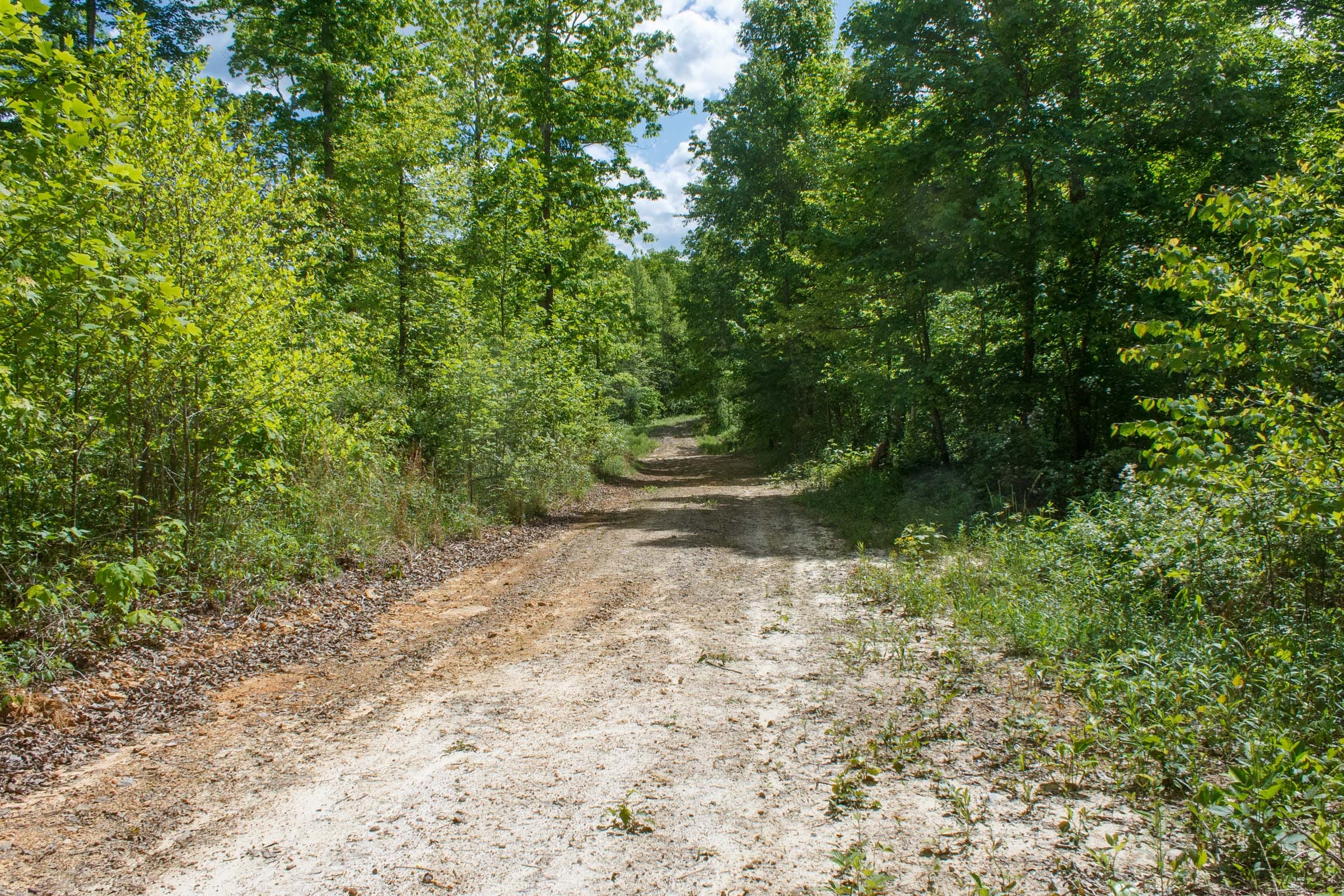 Riverbend Tract 4 photo 5