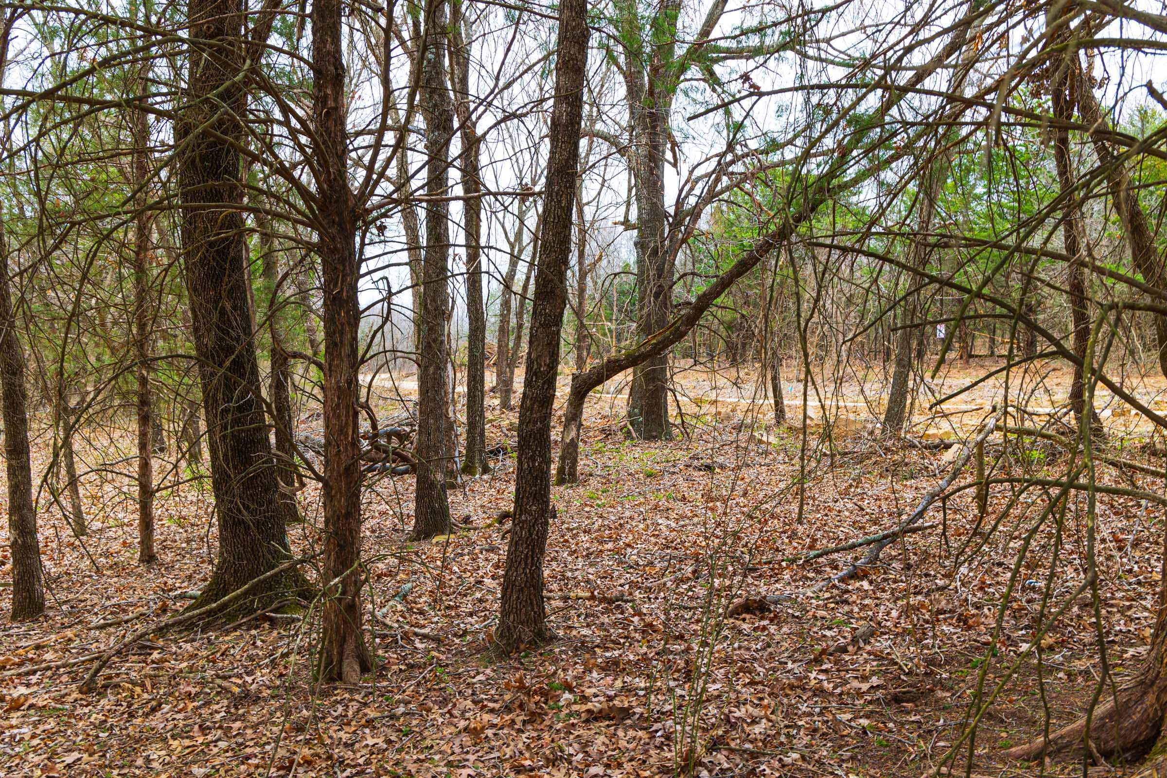 Reserves At Cattail Cove Phase I Tract 20 photo 16