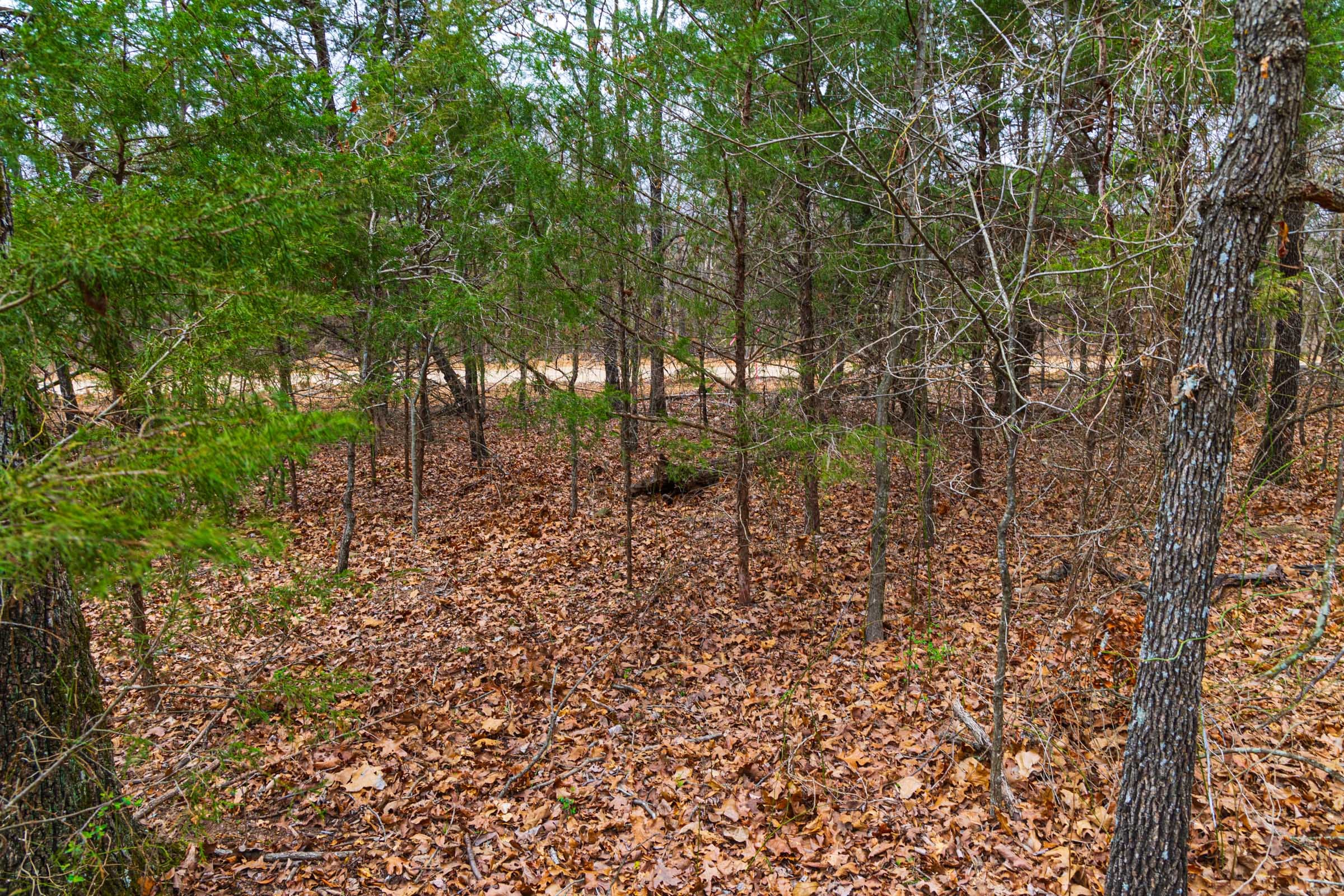 Reserves At Cattail Cove Phase I Tract 20 photo 15