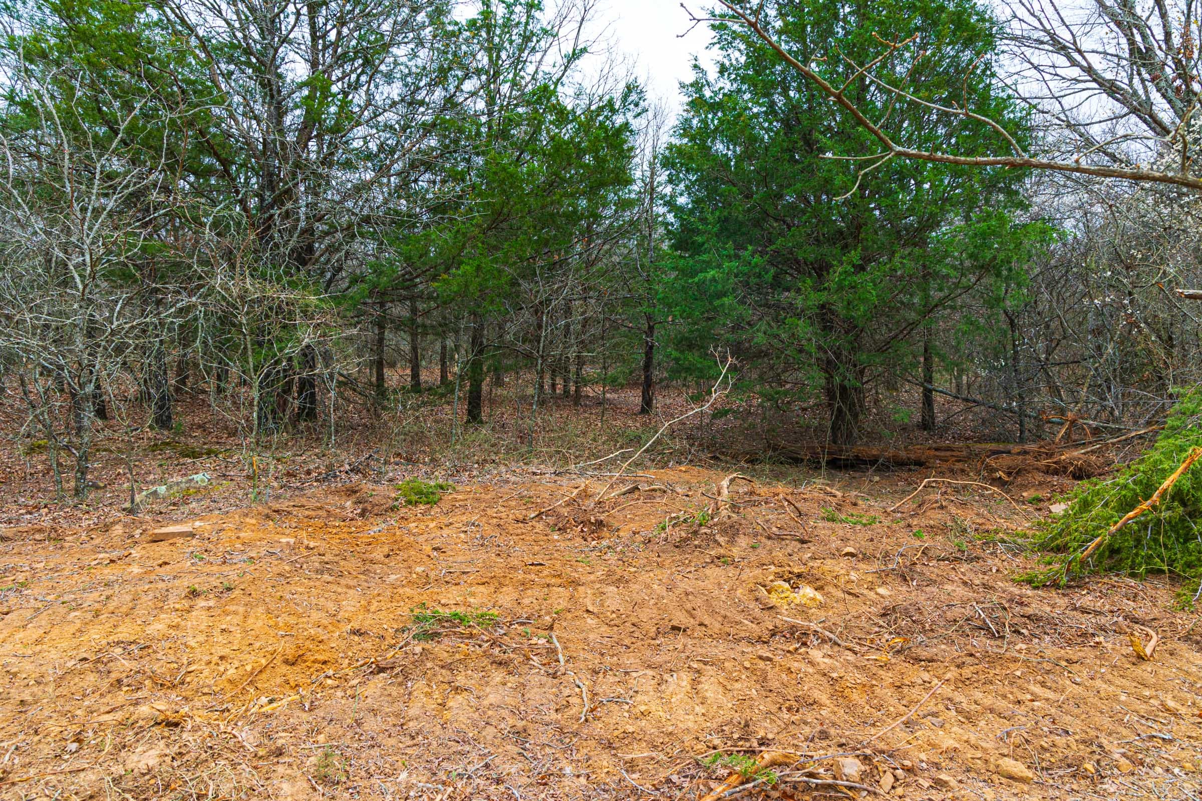 Reserves At Cattail Cove Phase I Tract 20 photo 9
