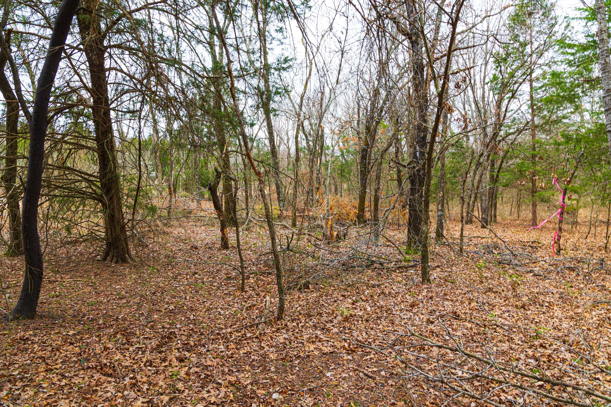 Reserves At Cattail Cove Phase I Tract 20 photo 14