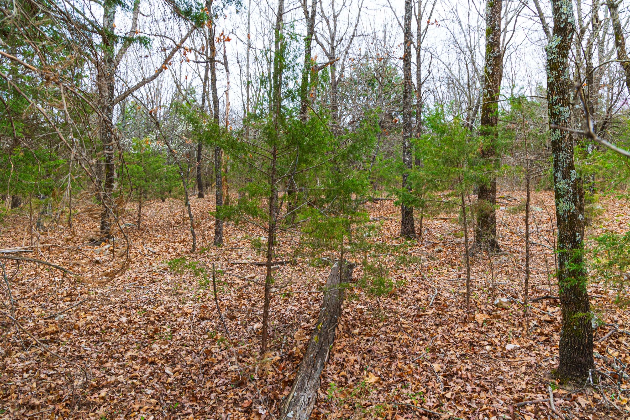 Reserves At Cattail Cove Phase I Tract 20 photo 13