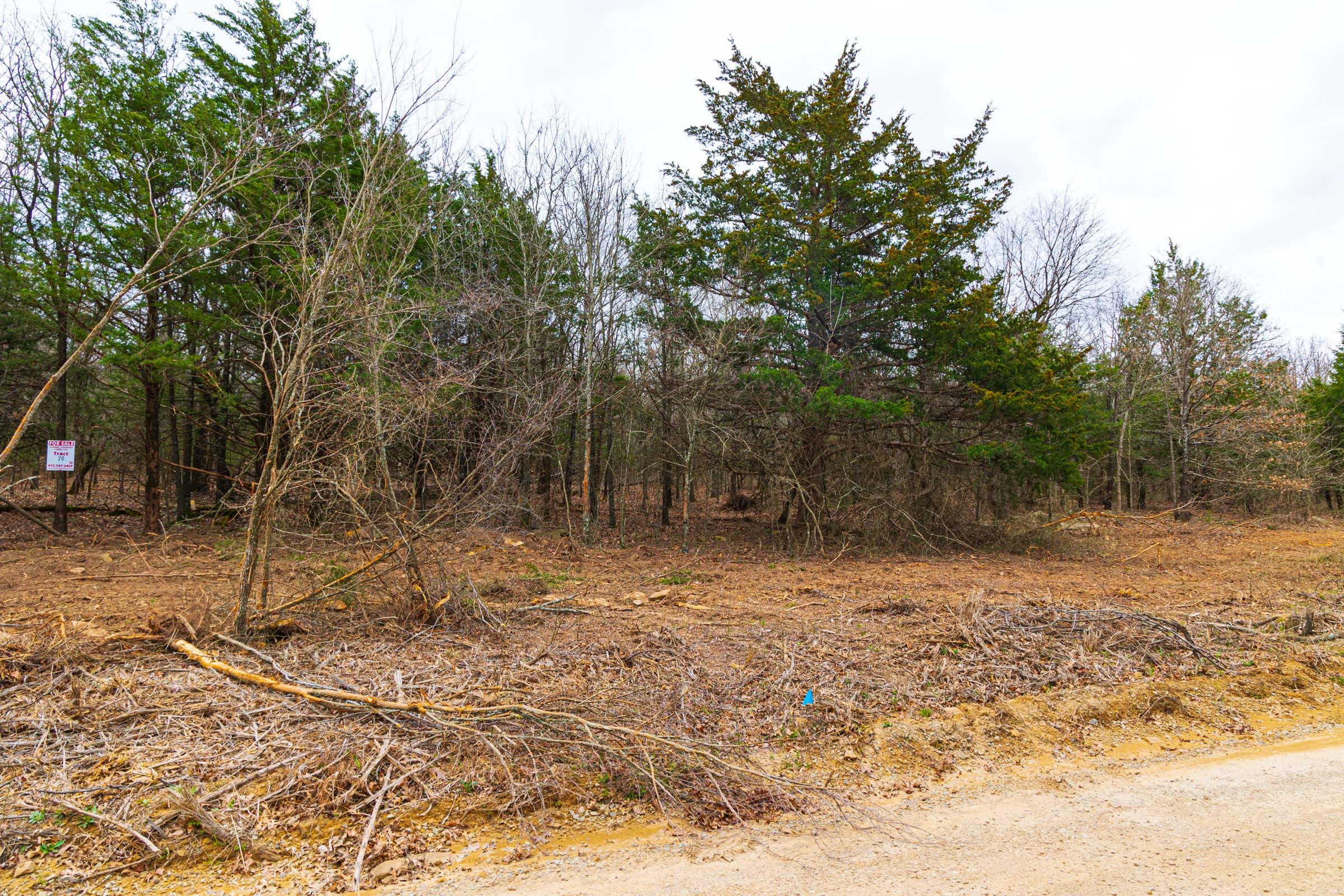 Reserves At Cattail Cove Phase I Tract 20 photo 12