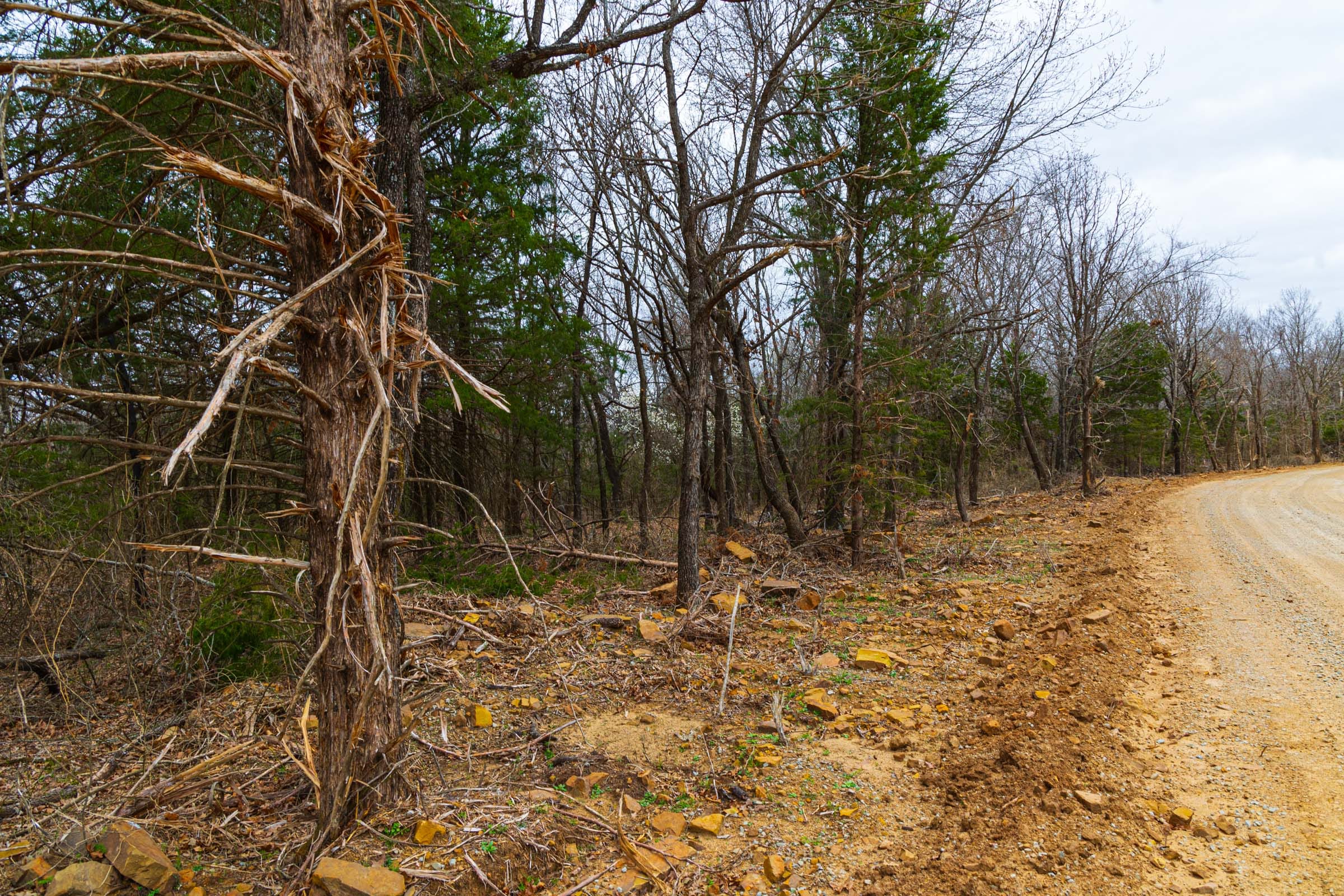 Reserves At Cattail Cove Phase I Tract 20 photo 11