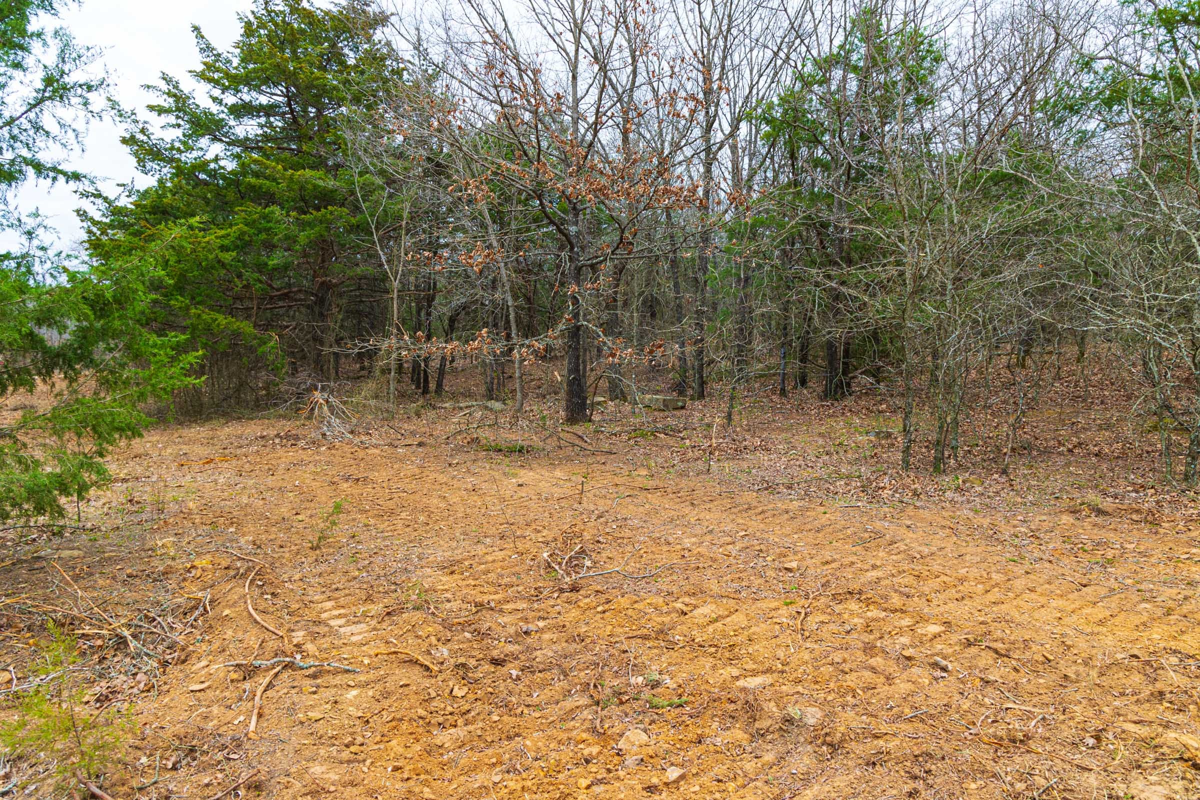 Reserves At Cattail Cove Phase I Tract 20 photo 4