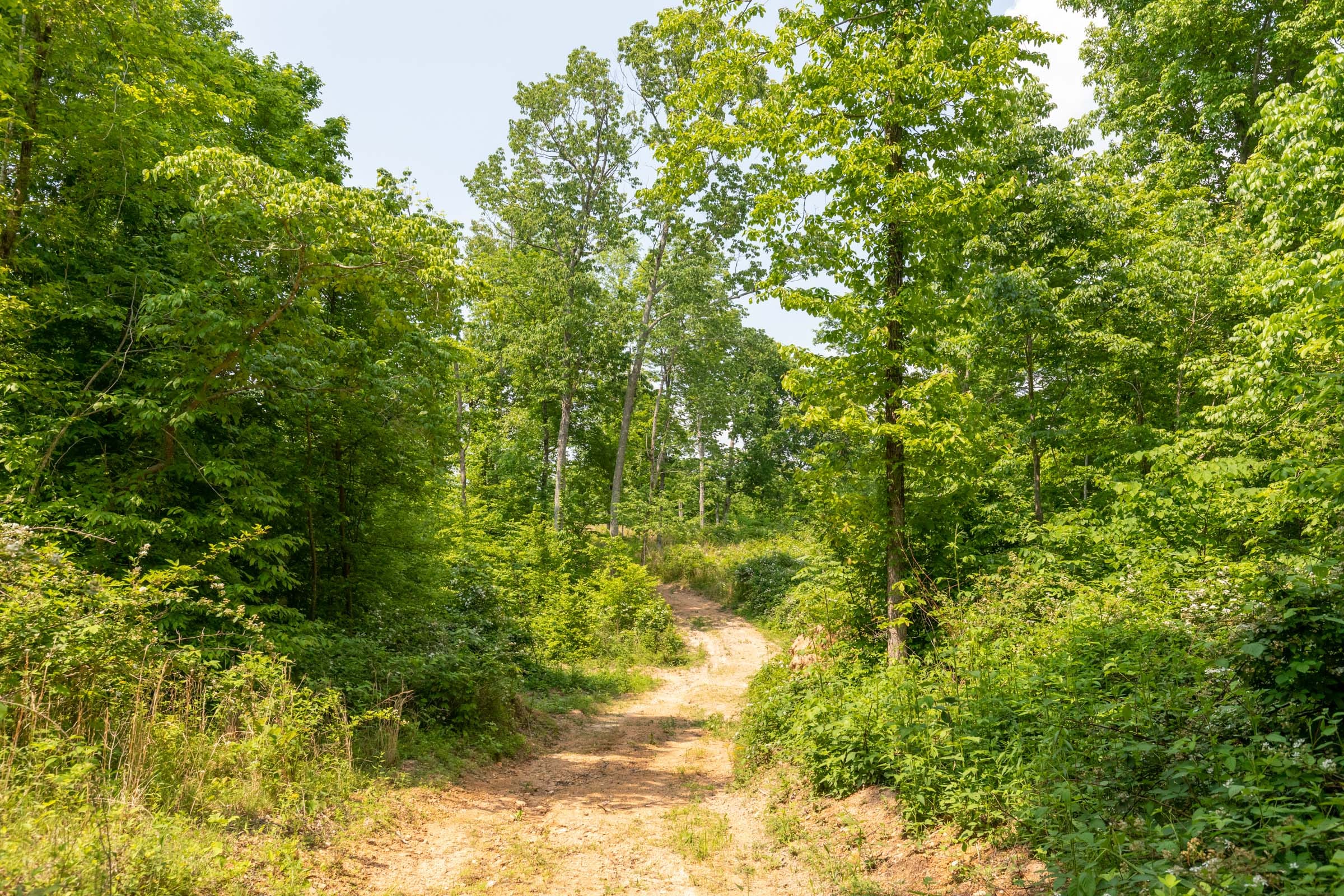 Cedar Creek Tract 54 photo 1