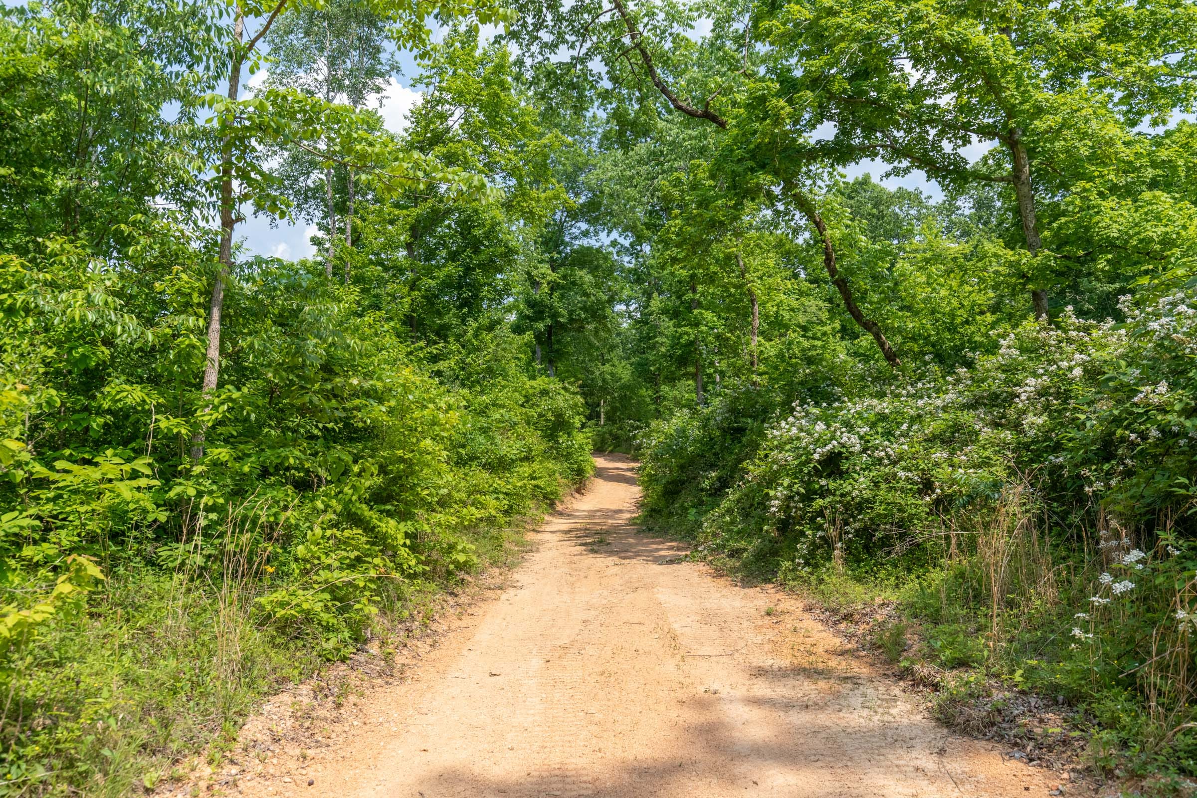 Cedar Creek Tract 54 photo 4