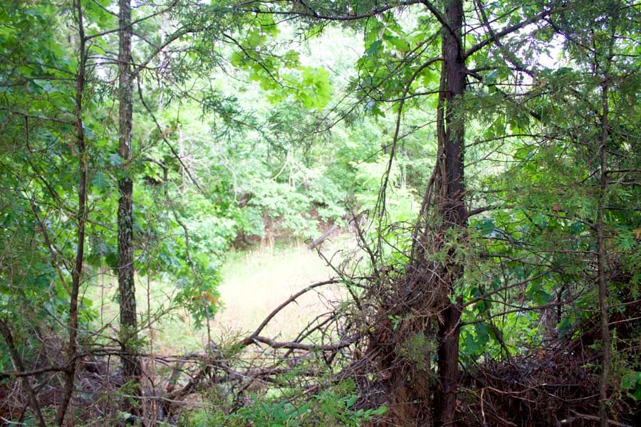 Thunder Mountain Ranch Tract 46 photo 1