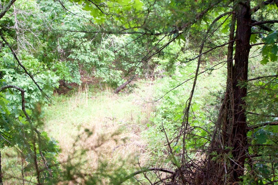 Thunder Mountain Ranch Tract 46 photo 5
