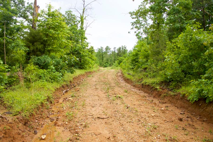 Thunder Mountain Ranch Tract 46 photo 2