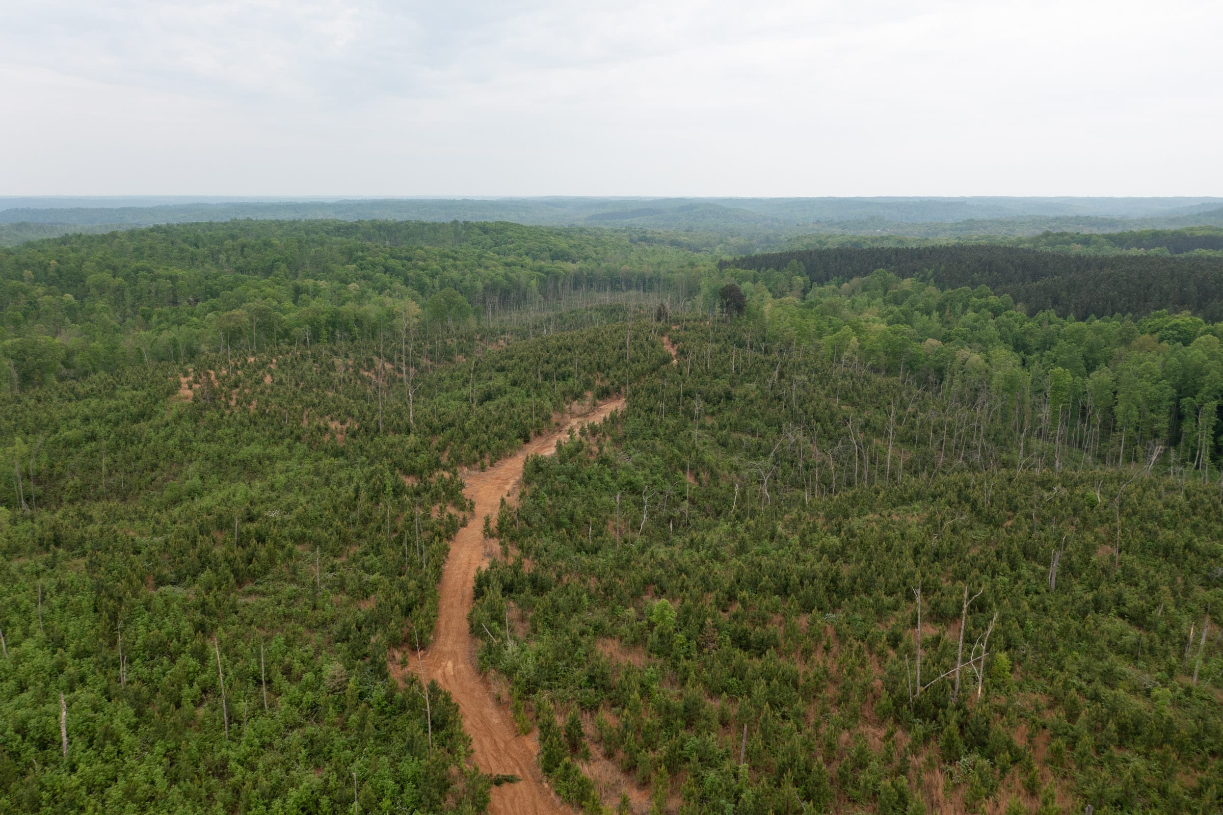 Red Barn Ranch Tract 35 photo 18