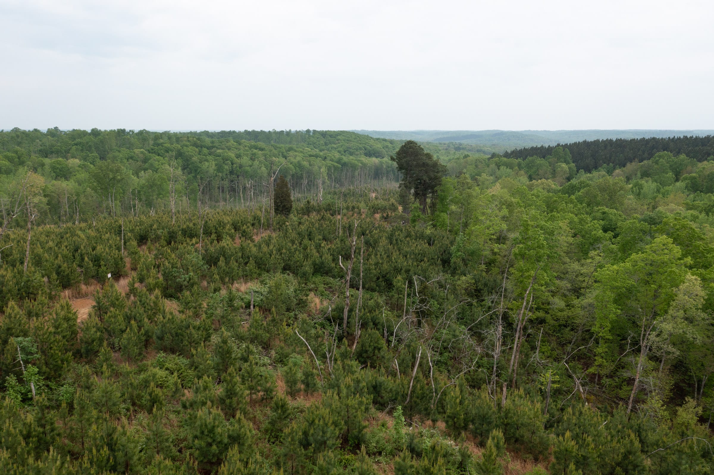 Red Barn Ranch Tract 35 photo 19