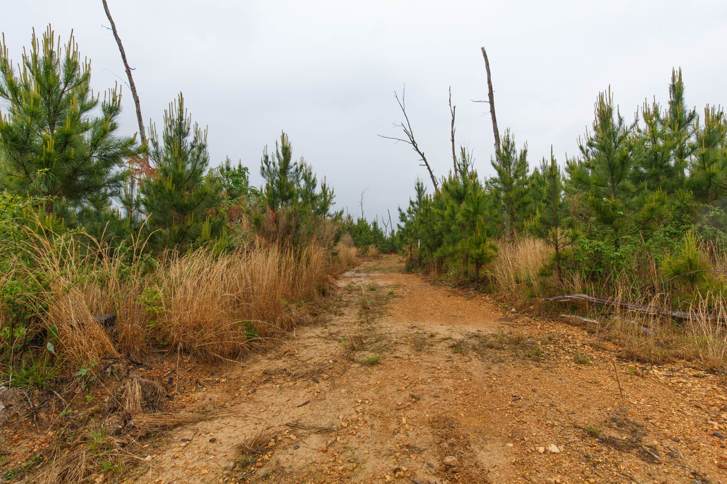 Red Barn Ranch Tract 35 photo 1