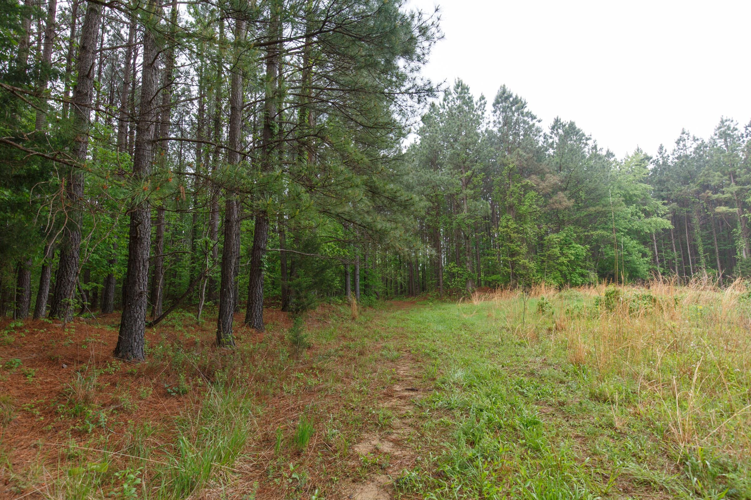 Red Barn Ranch Tract 35 photo 12
