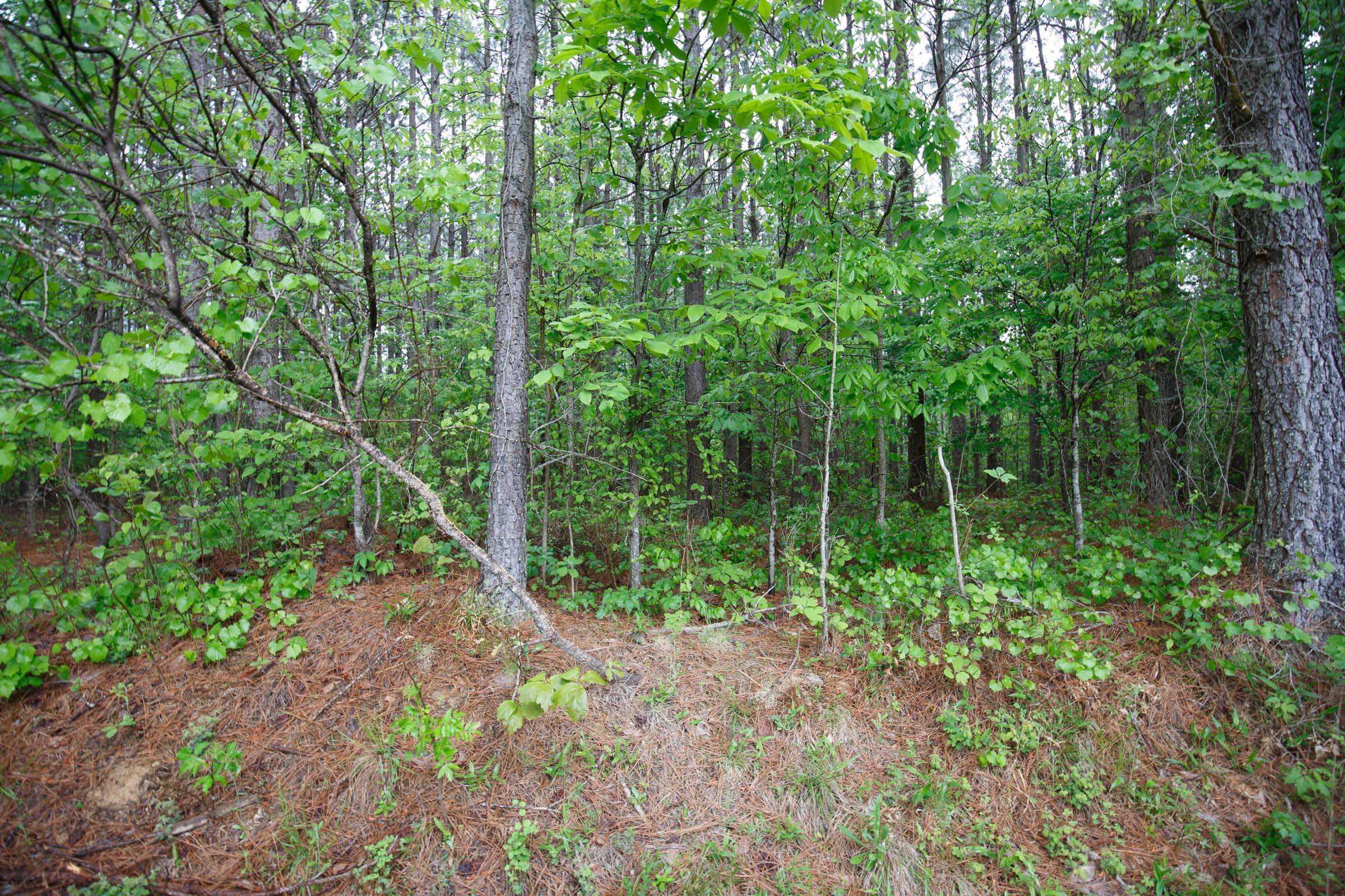 Red Barn Ranch Tract 35 photo 11