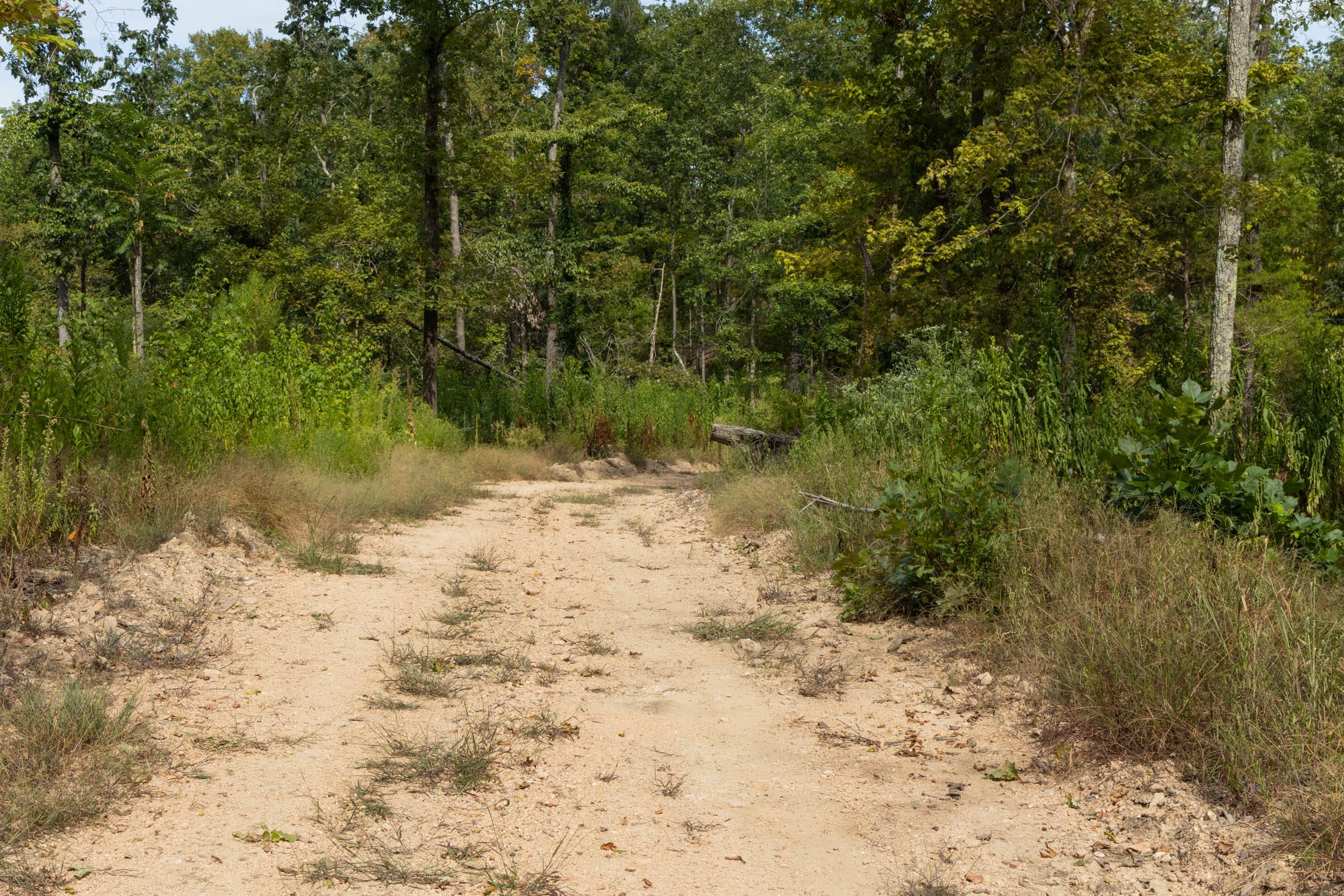 Big White Oak Tract 73 photo 2