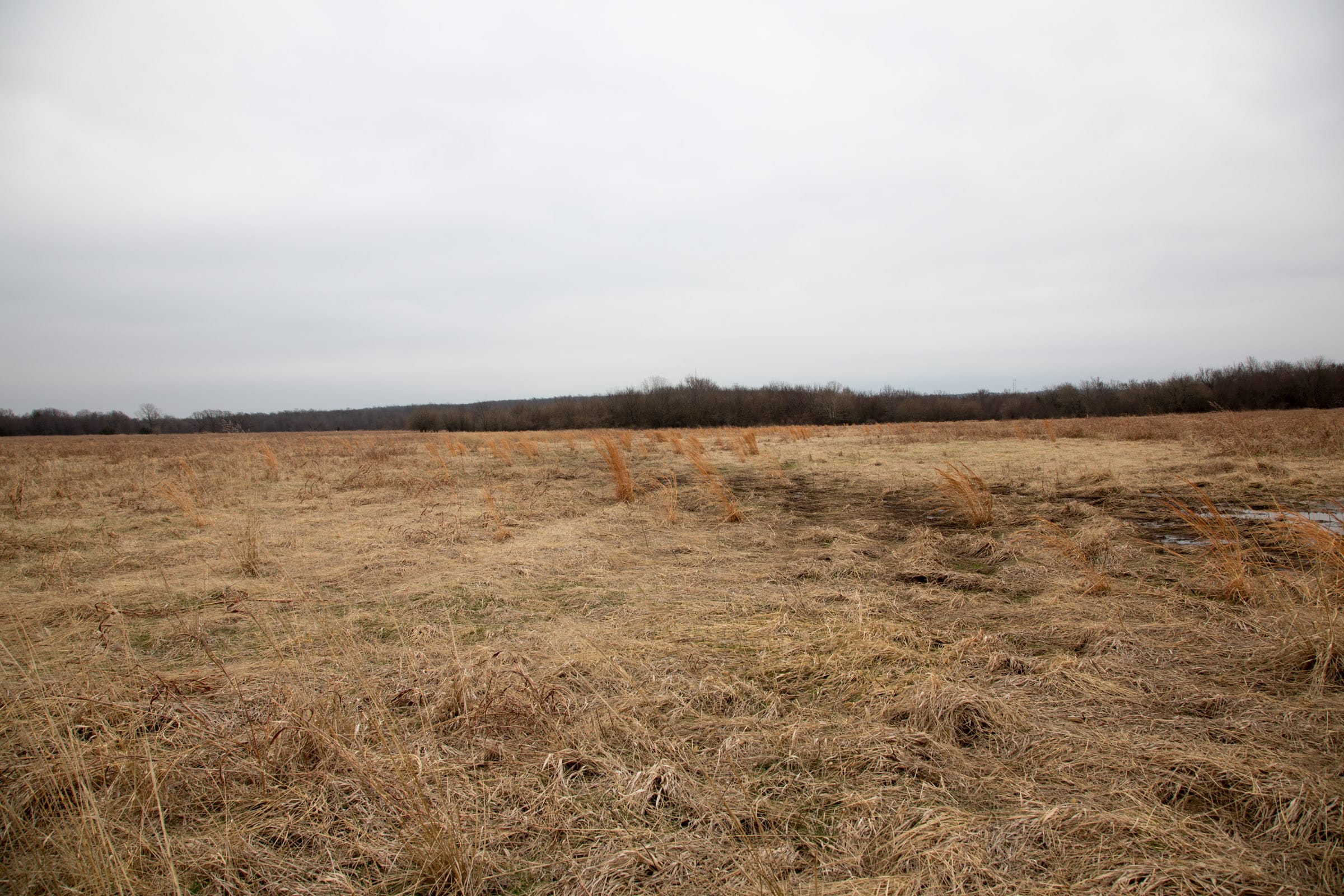 Canadian Plains Tract 27 photo 3