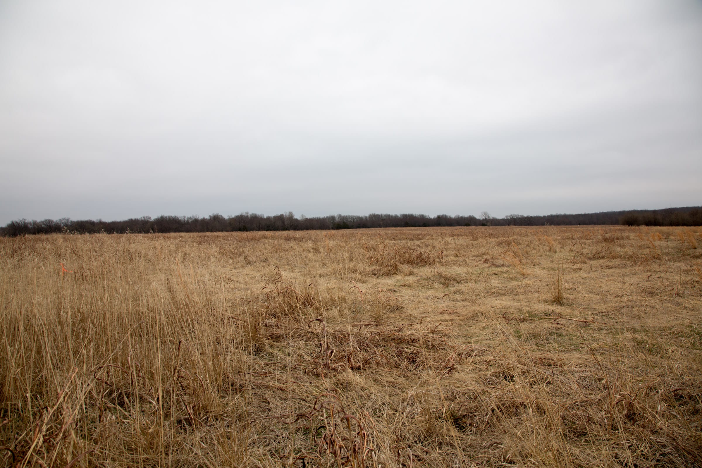 Canadian Plains Tract 27 photo 4