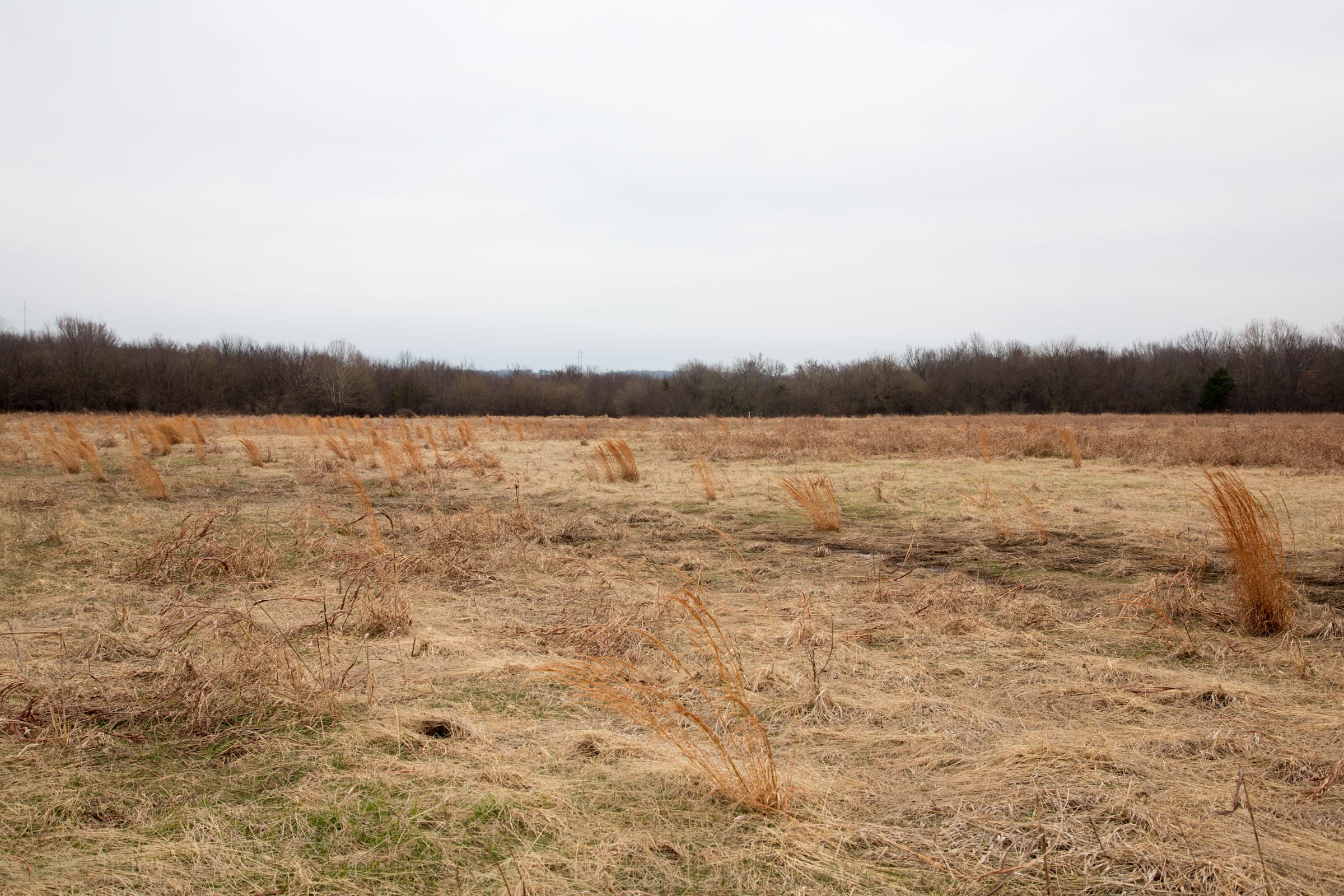 Canadian Plains Tract 27 photo 5