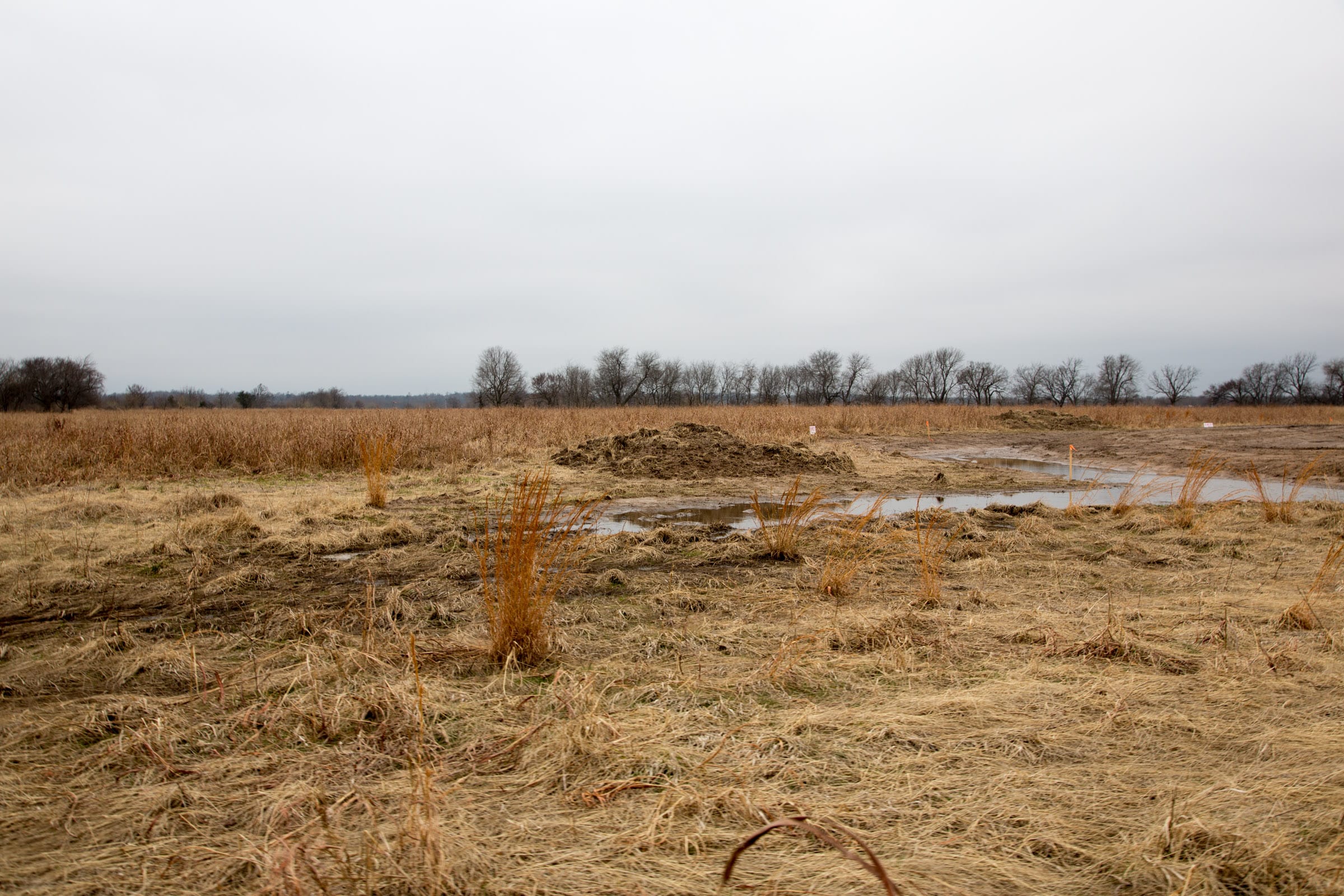 Canadian Plains Tract 27 photo 6