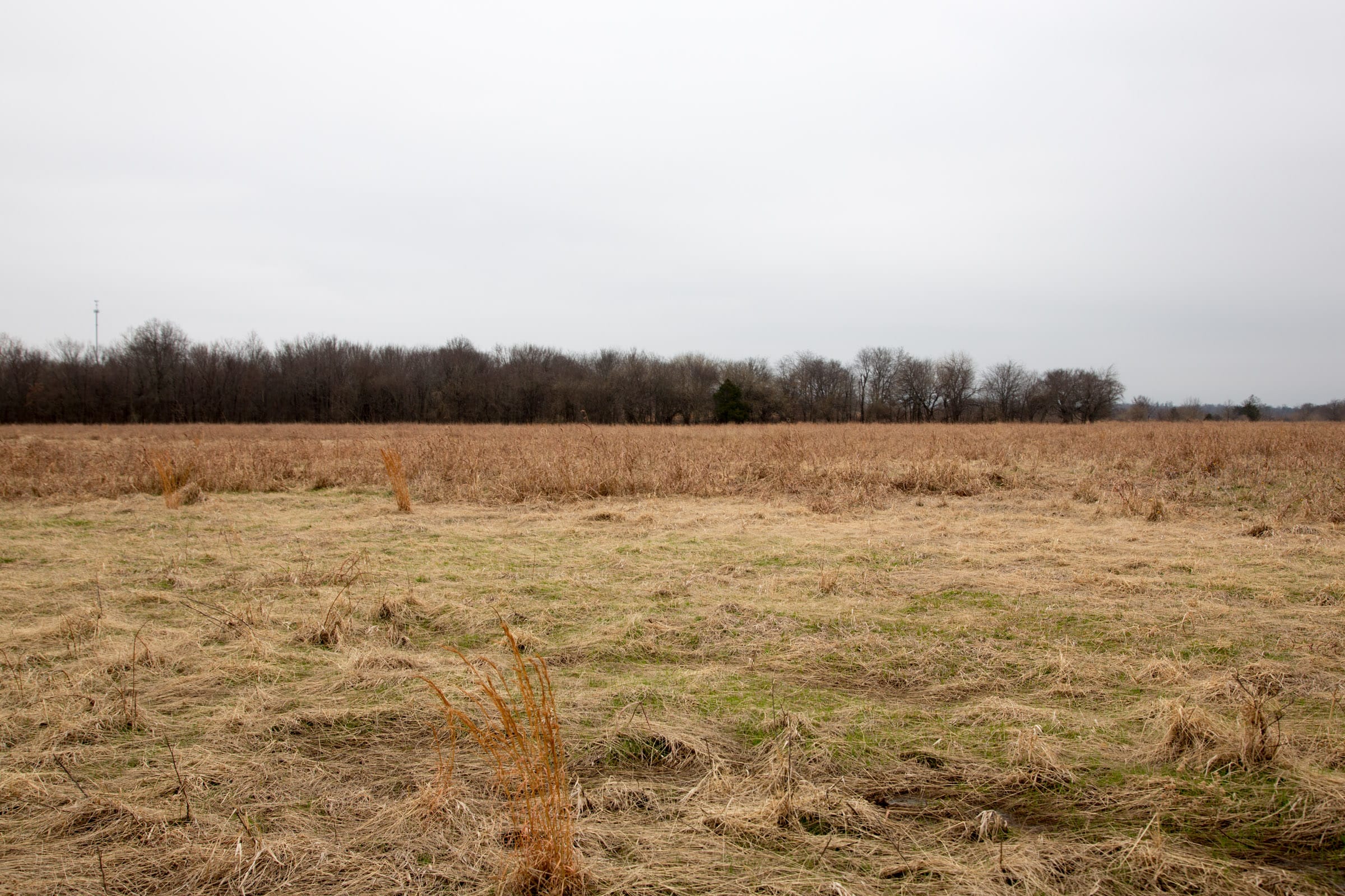 Canadian Plains Tract 27 photo 7