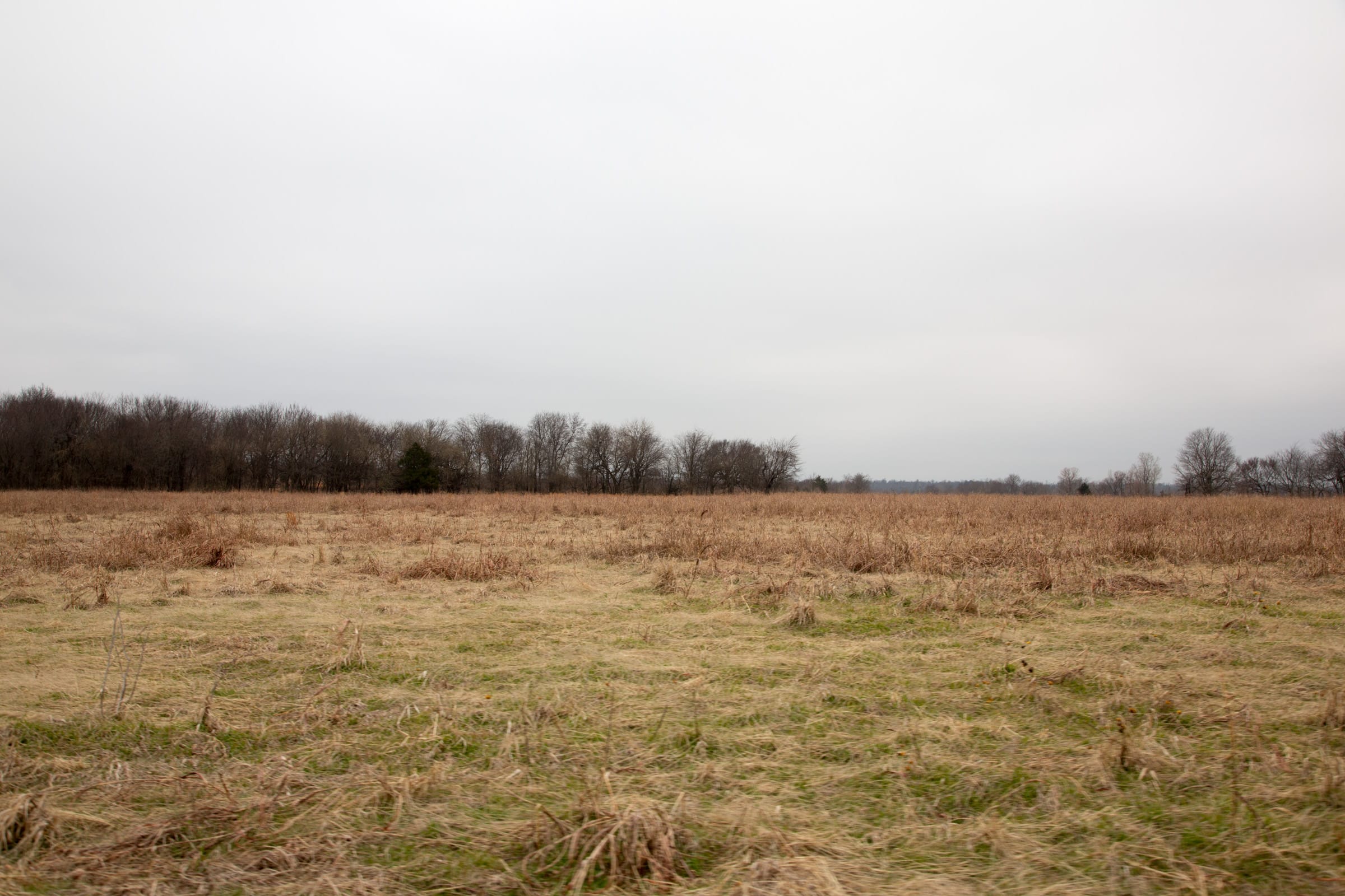 Canadian Plains Tract 27 photo 8